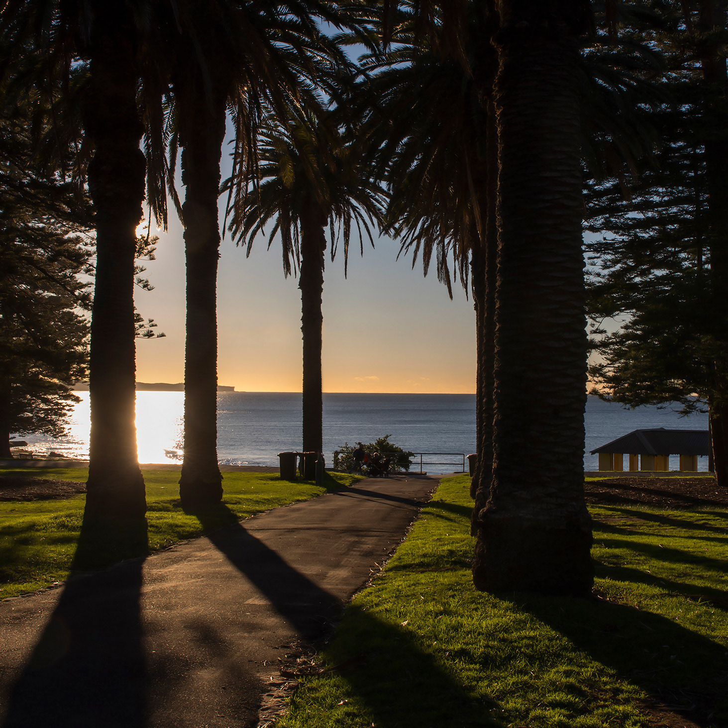 light, colour contrast