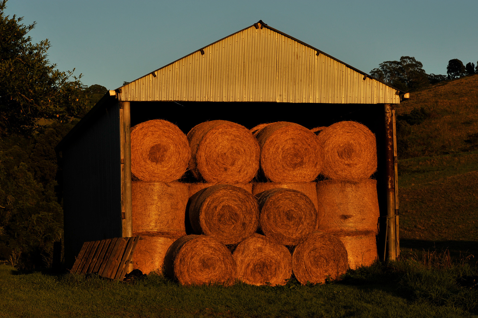 colour, contrast, pattern