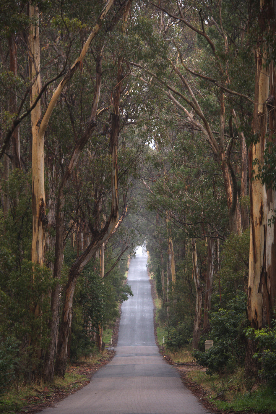 Southern Highlands escape