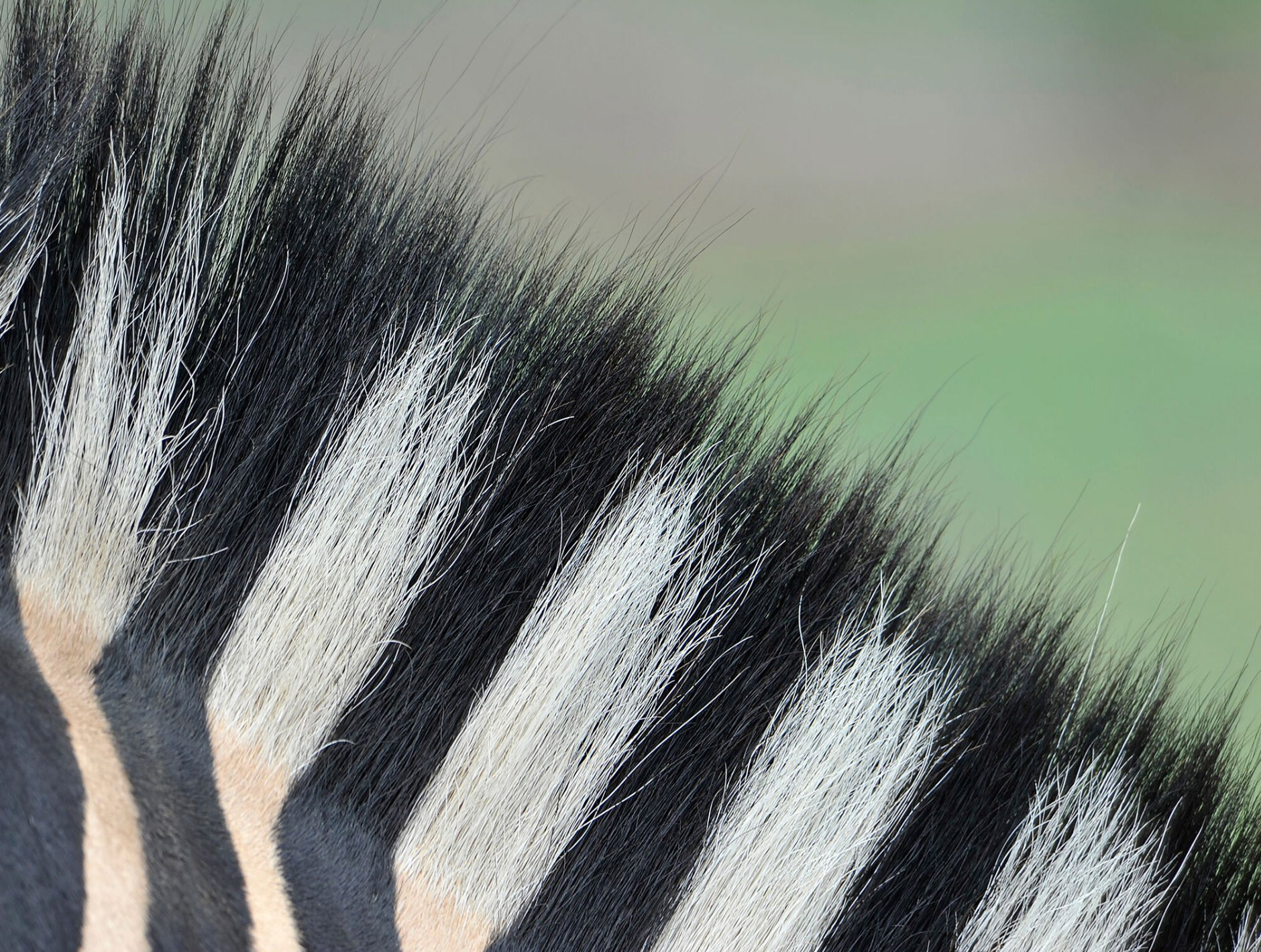 colour, line, balance