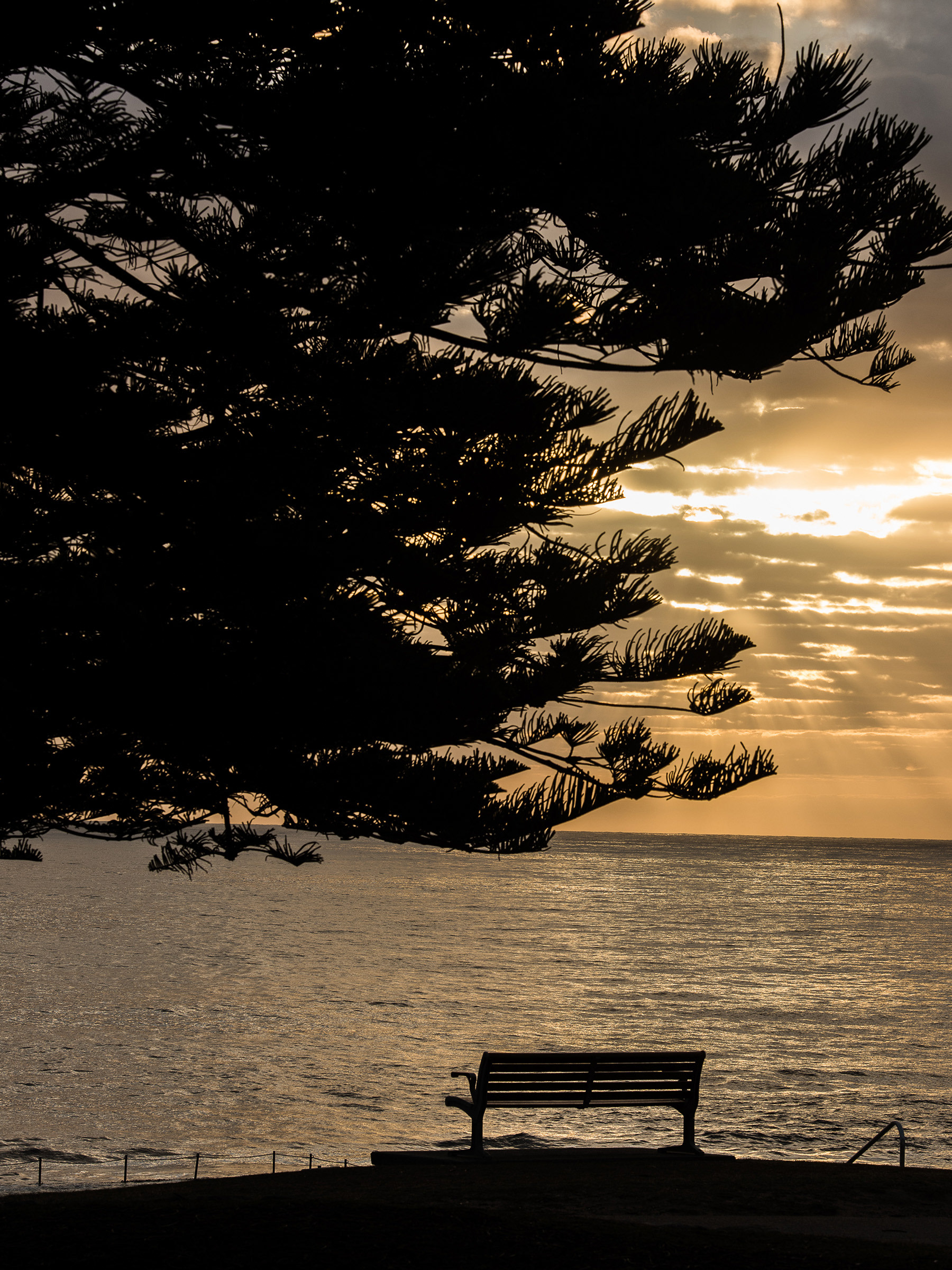 contrast, colour, light