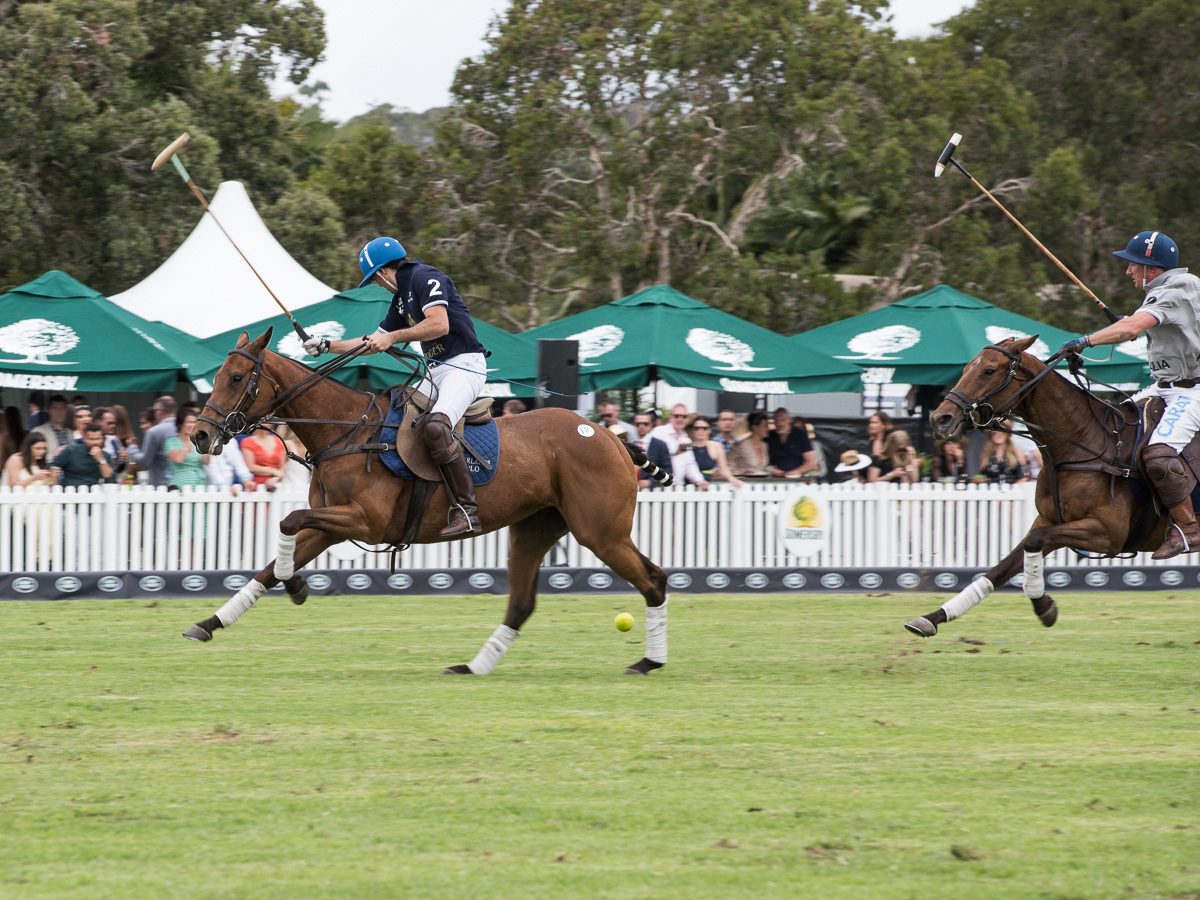 Polo in the City Centennial Park