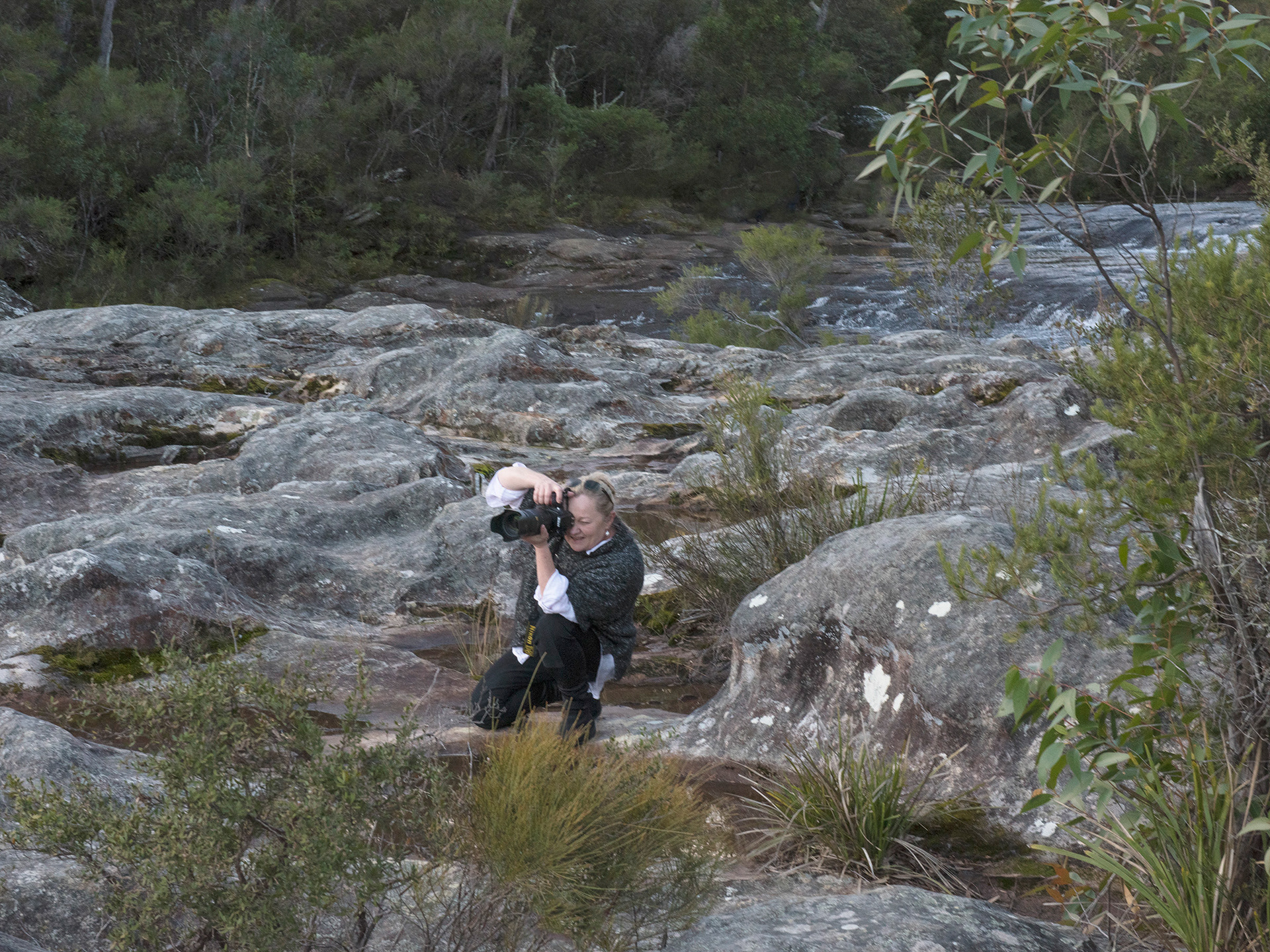 Carrington Falls