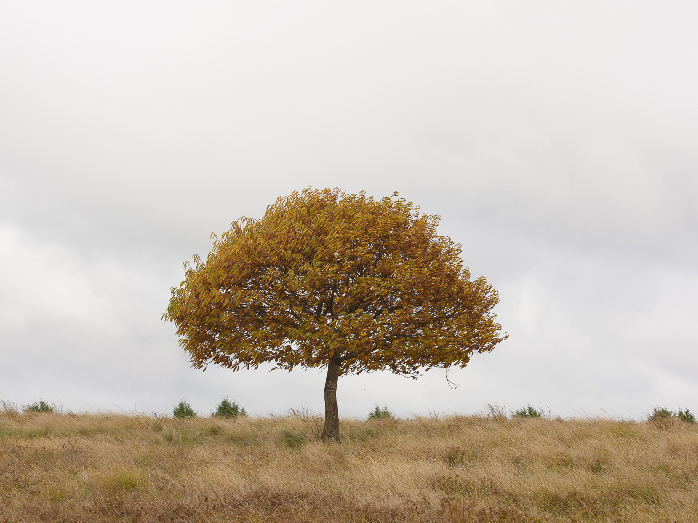 Autumn Southern Highlands escape