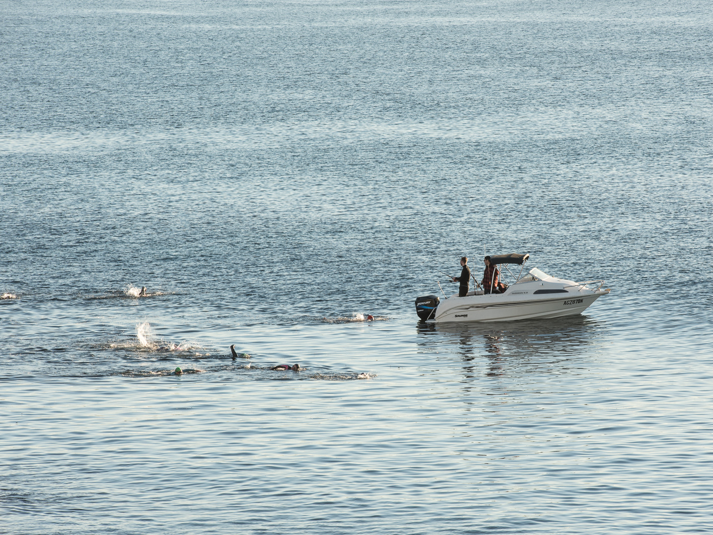 nature, colour, balance, proportion