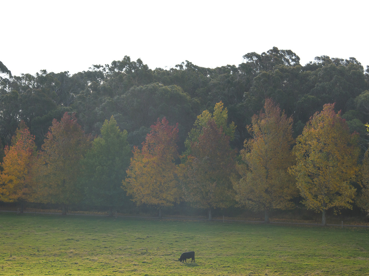 Autumn Southern Highlands escape