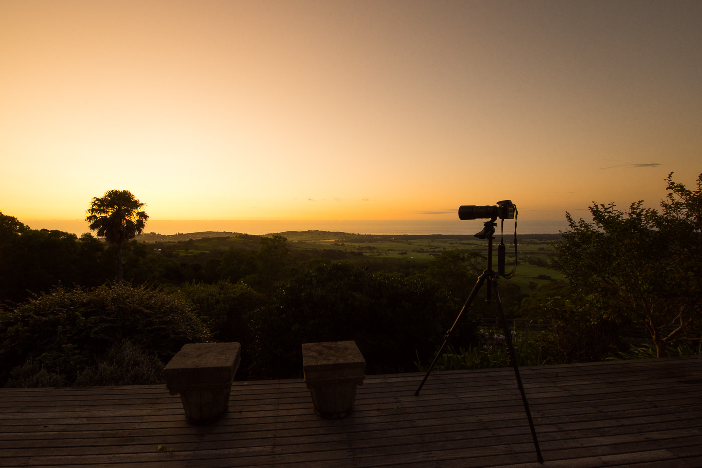 Berry Wellness retreat envisionwellnessretreat.com