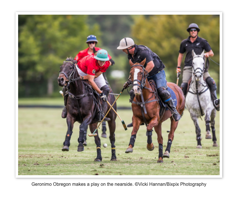 USA Polo Team images Windsor