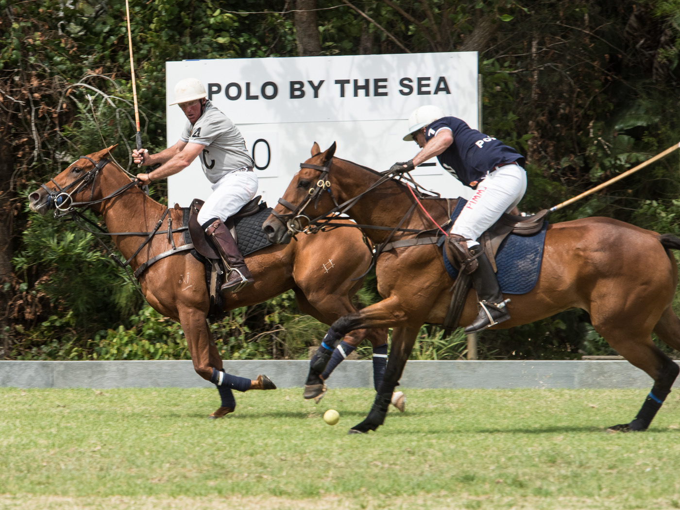 Polo by the Sea