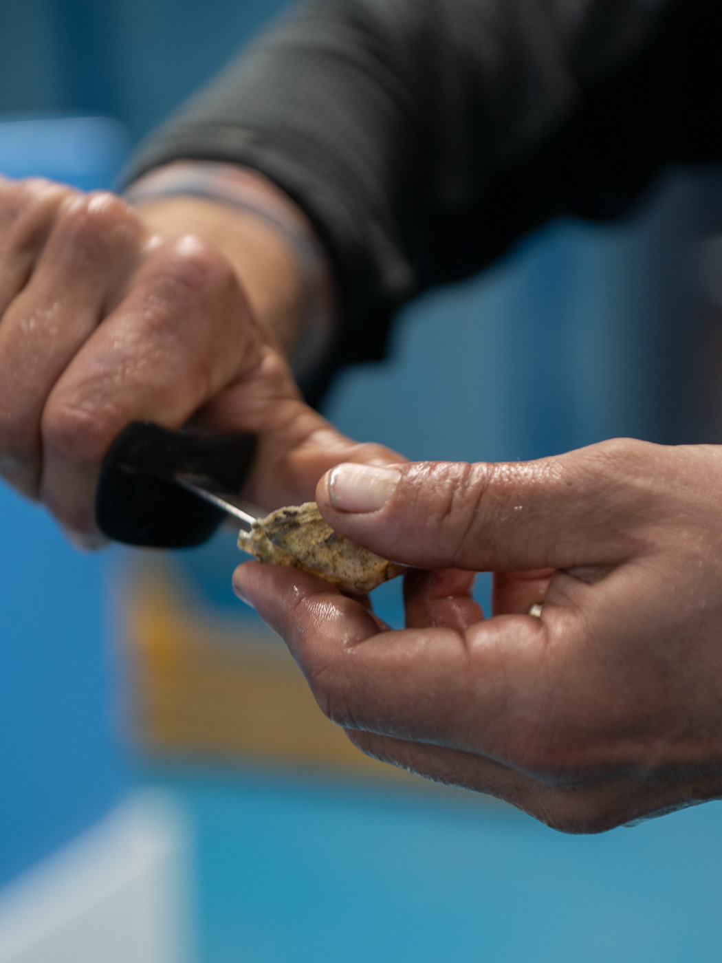 Oysters with Jase Finlay