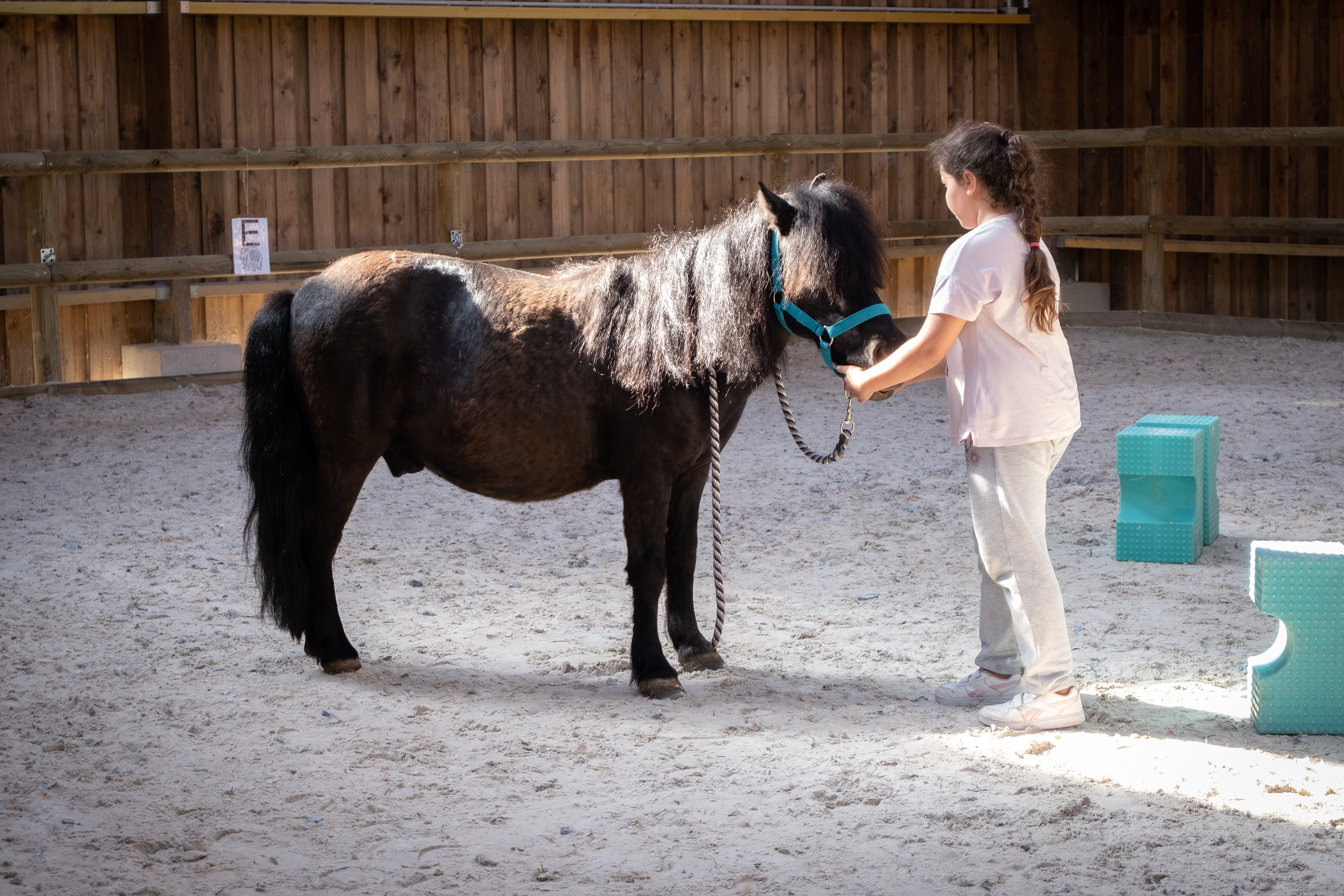 For children, art therapy, theater and horse therapy workshops are offered, as well as various outings. Taking care of horses has been proven to heal post-traumatic stress and anxiety. The bond with the animal is sometimes strong.