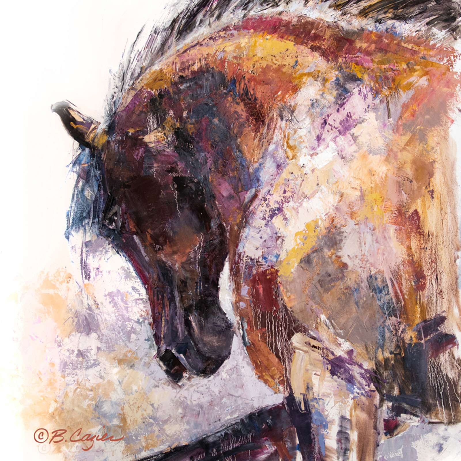 "Show Pony" 30 x 40 oil on canvas SOLD