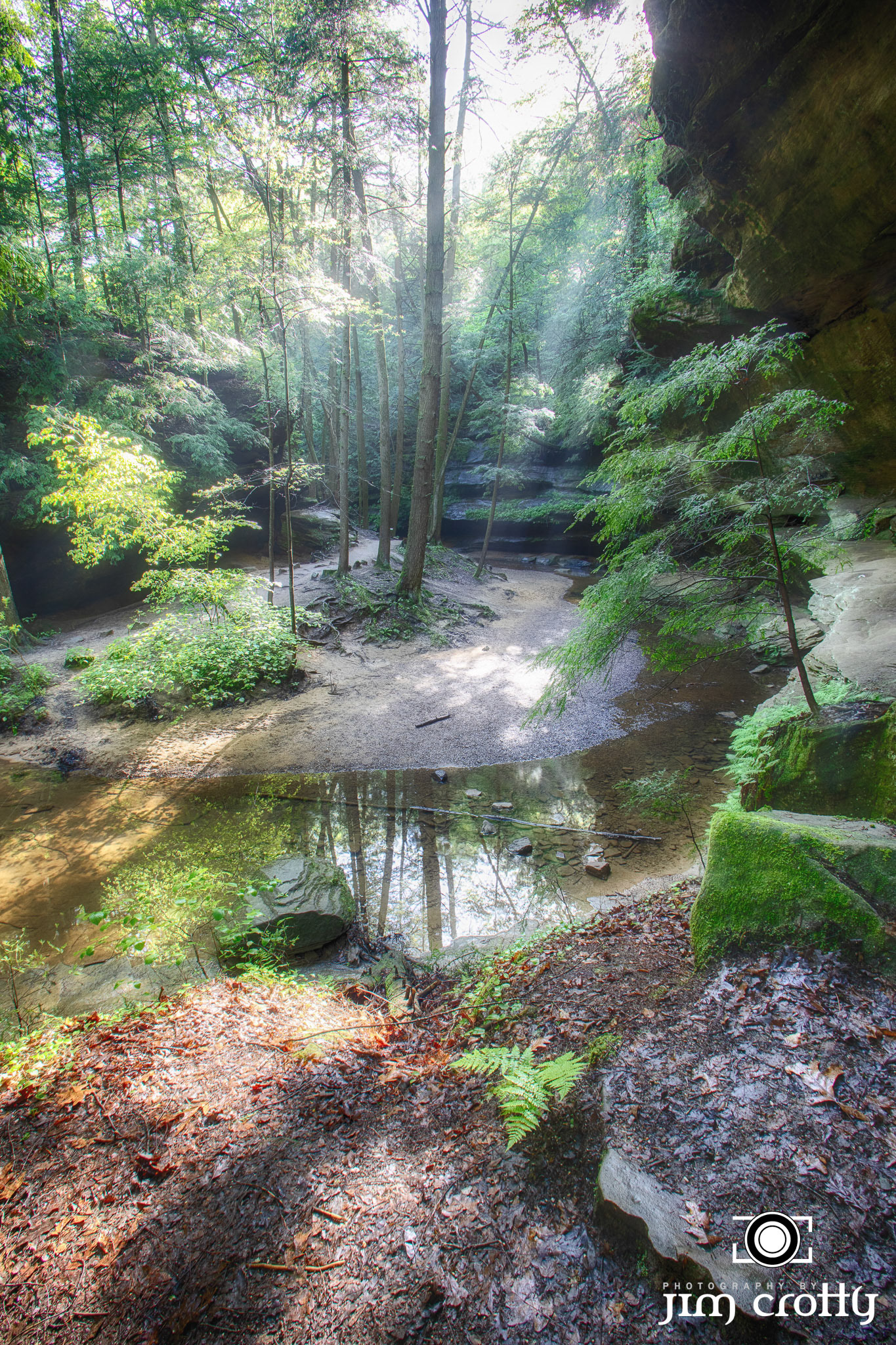 Nature, landscape, and Northern Light Images Captured in Hocking Hills, Ohio by Jim Crotty