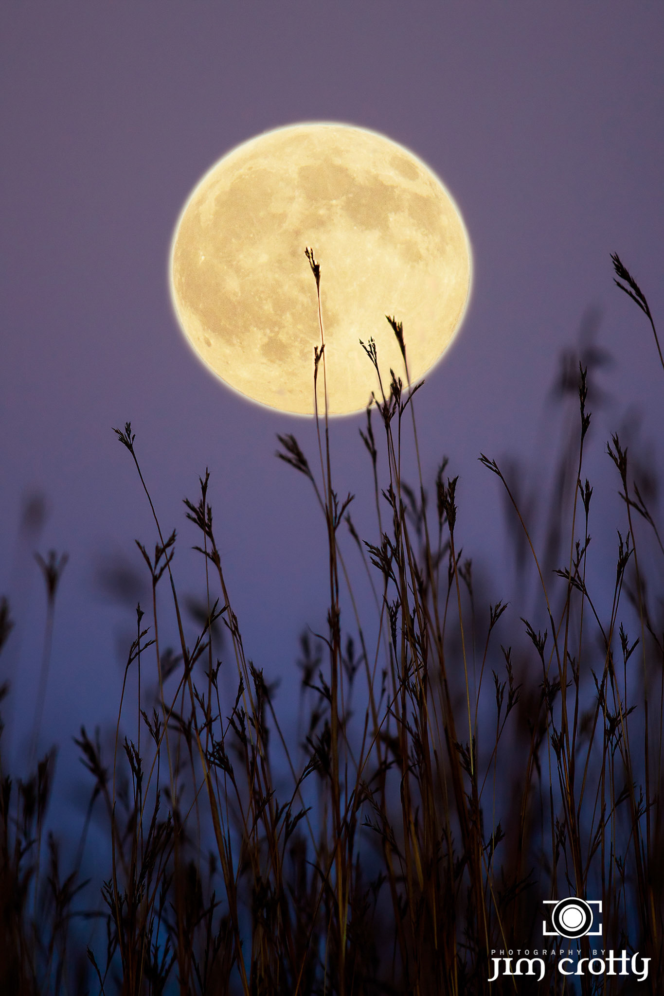 Hunters Moon at Sugarcreek MetroPark by Jim Crotty