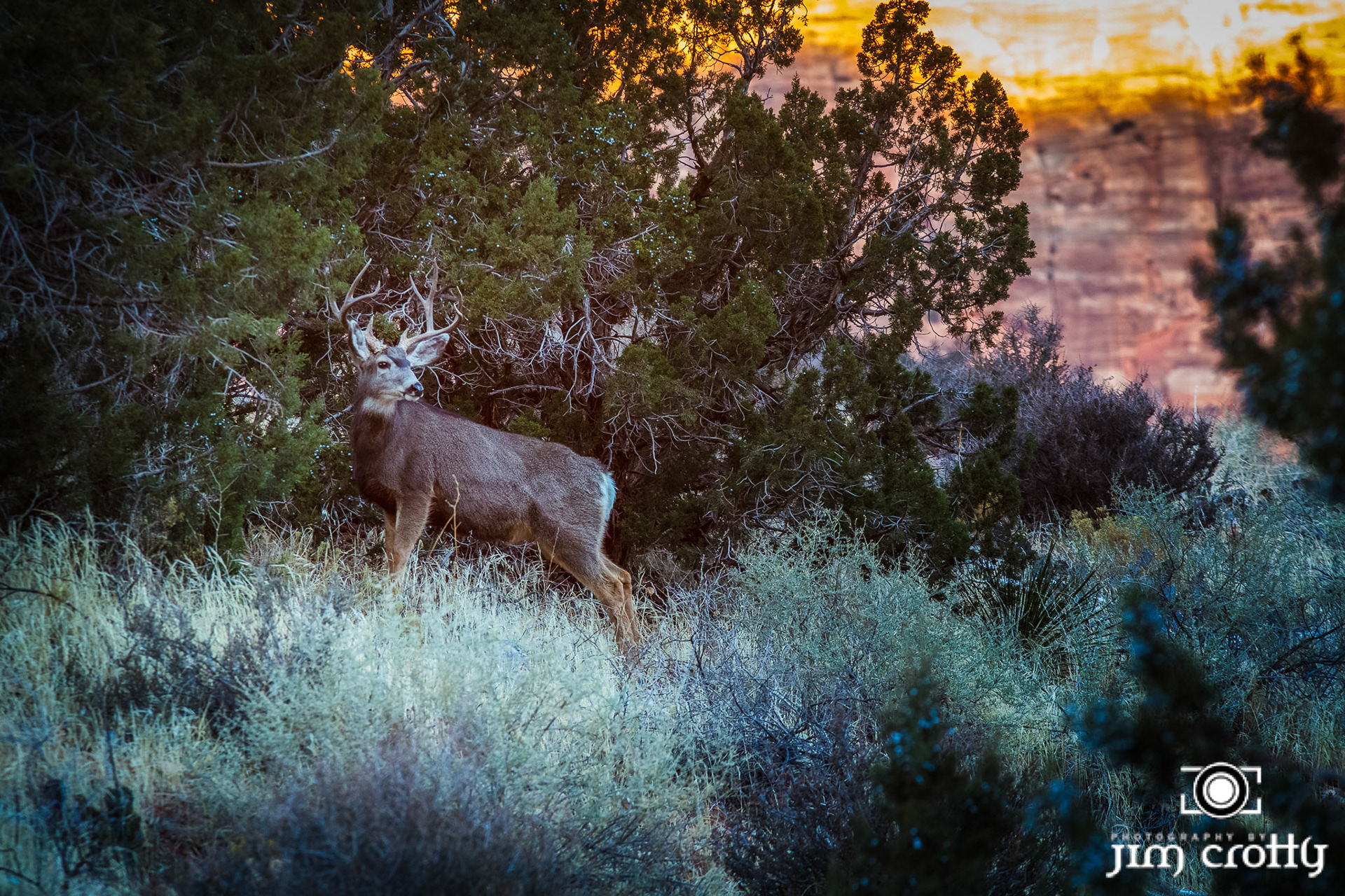 December in Zion National Park Utah