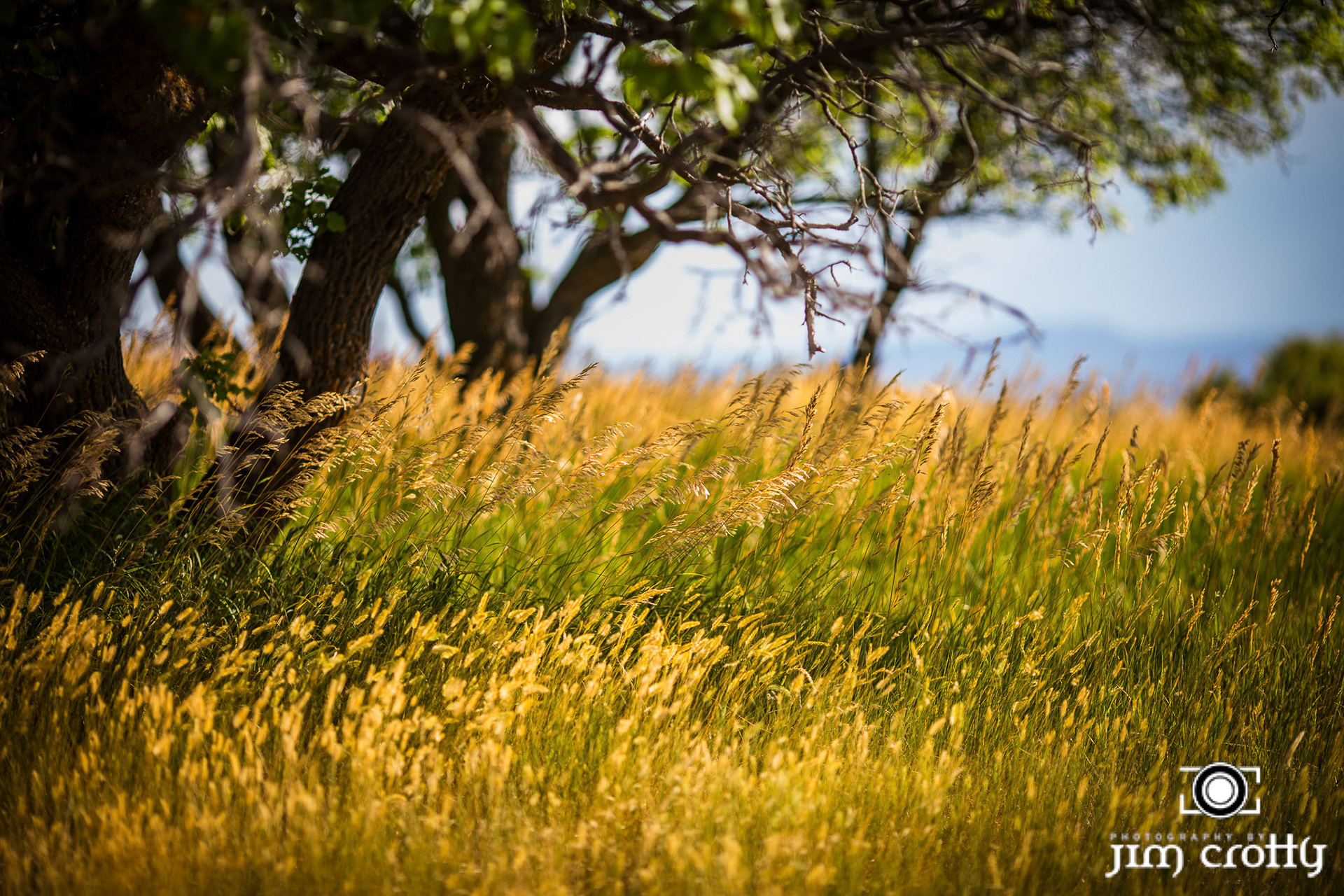 Landscape and rural scenes on road outside of Taos, New Mexico