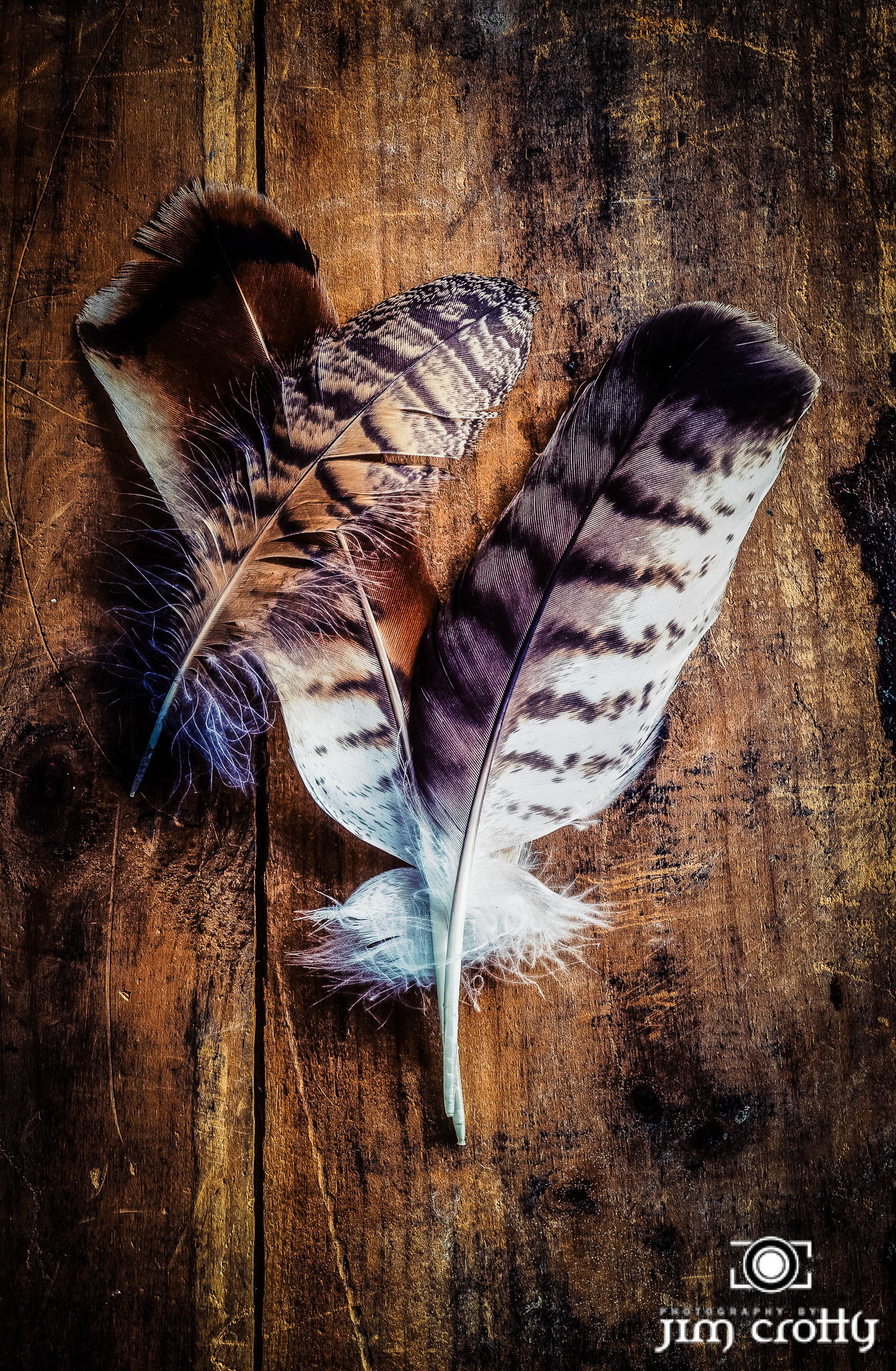 Processed with VSCO with g3 preset