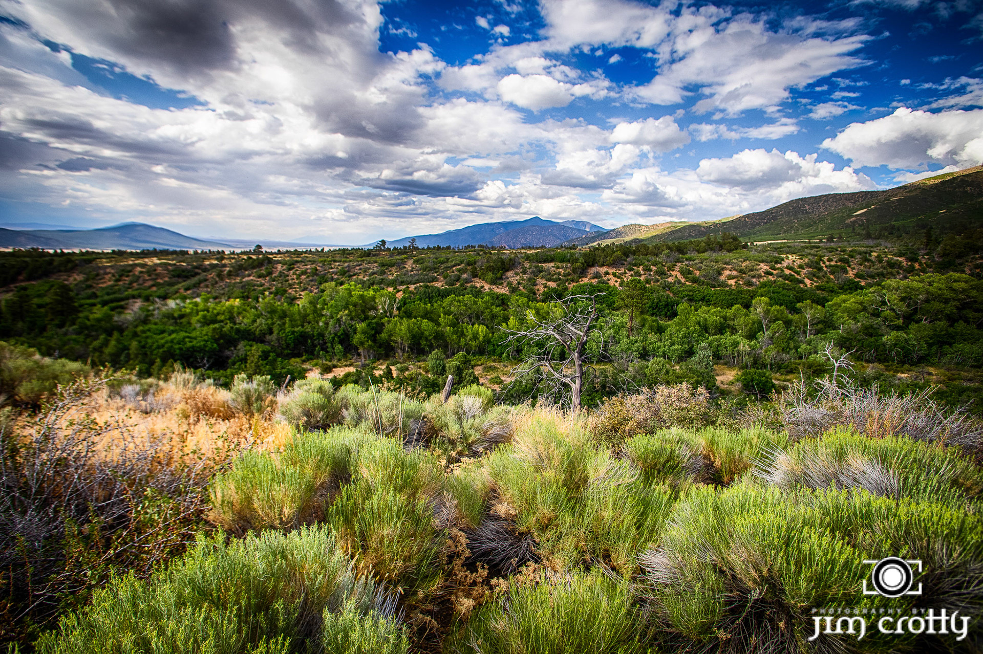 Landscape and rural scenes on road outside of Taos, New Mexico