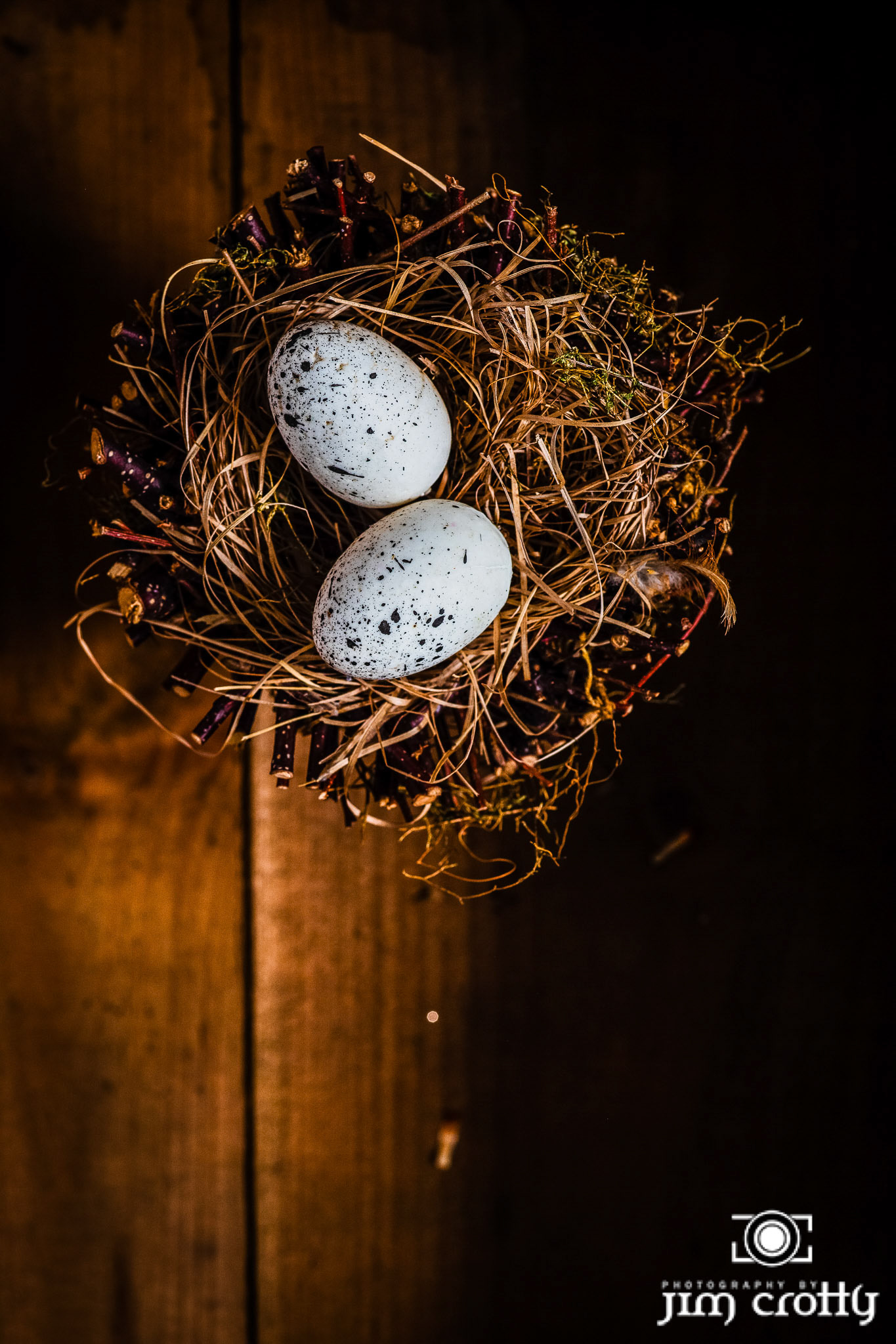 Still life photograpy of nest and eggs in winter window light by Jim Crotty