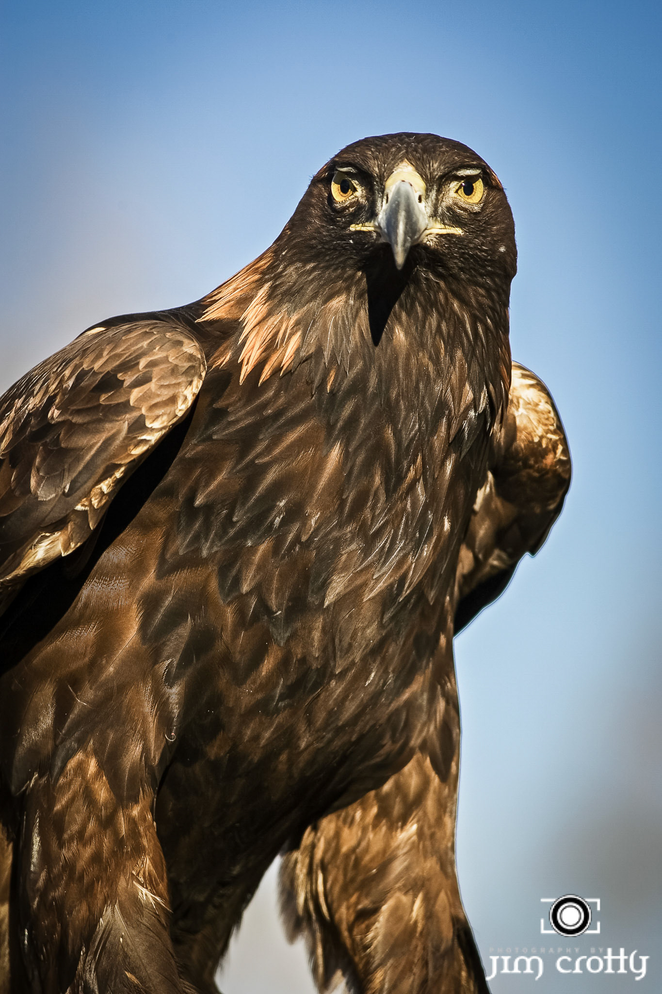 Event and Architectural Photography by Jim Crotty