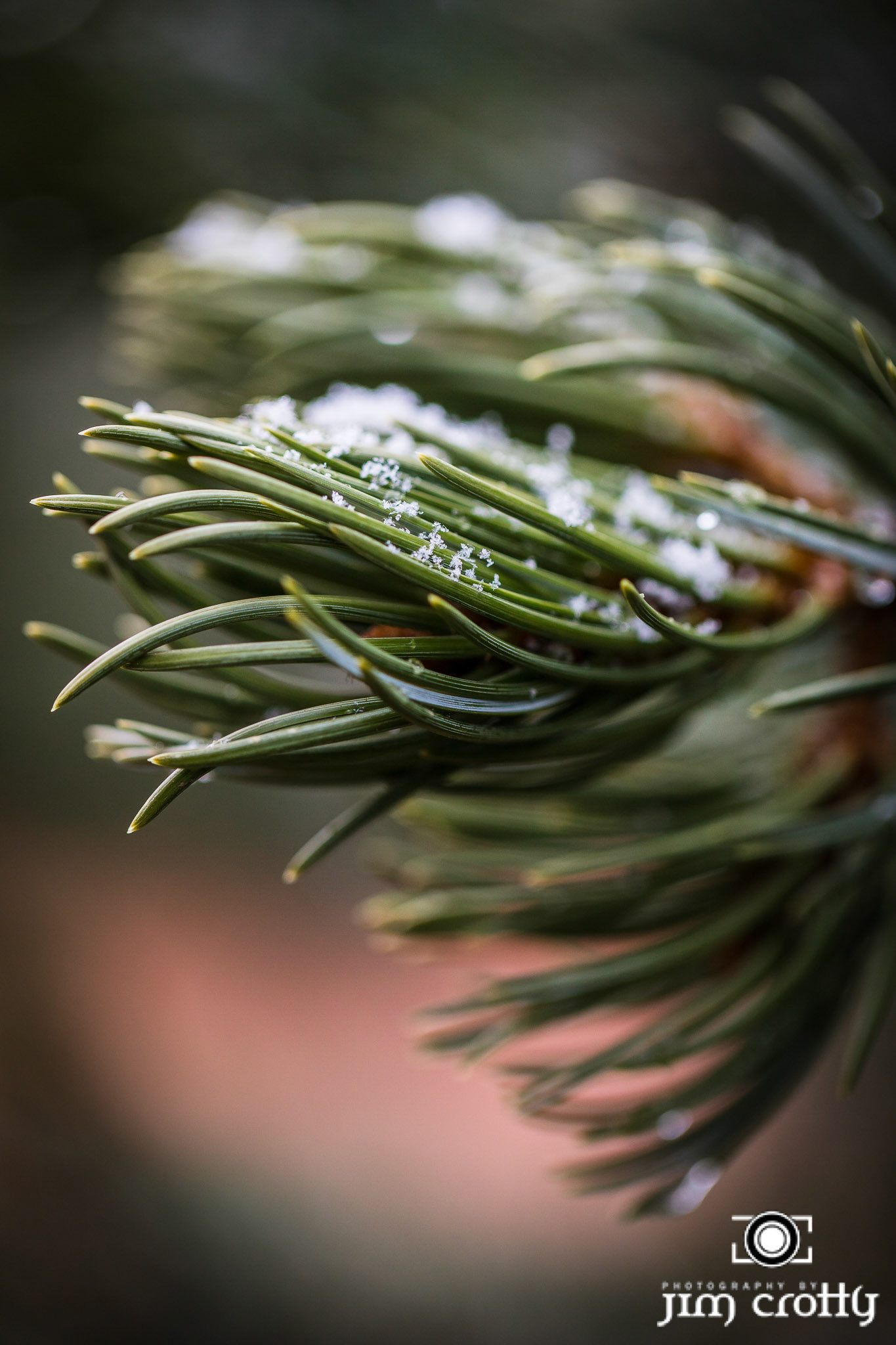 New Mexico Photography by Jim Crotty
