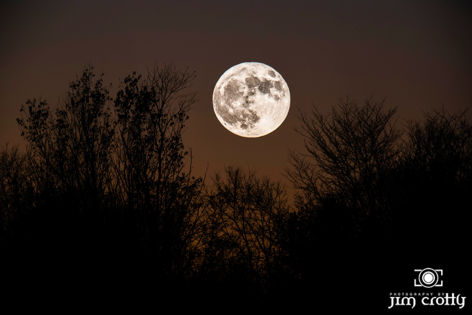 Full Moon rising on Halloween October 31st 2020 over Sugarcreek MetroPark near Dayton Ohio by Jim Crotty