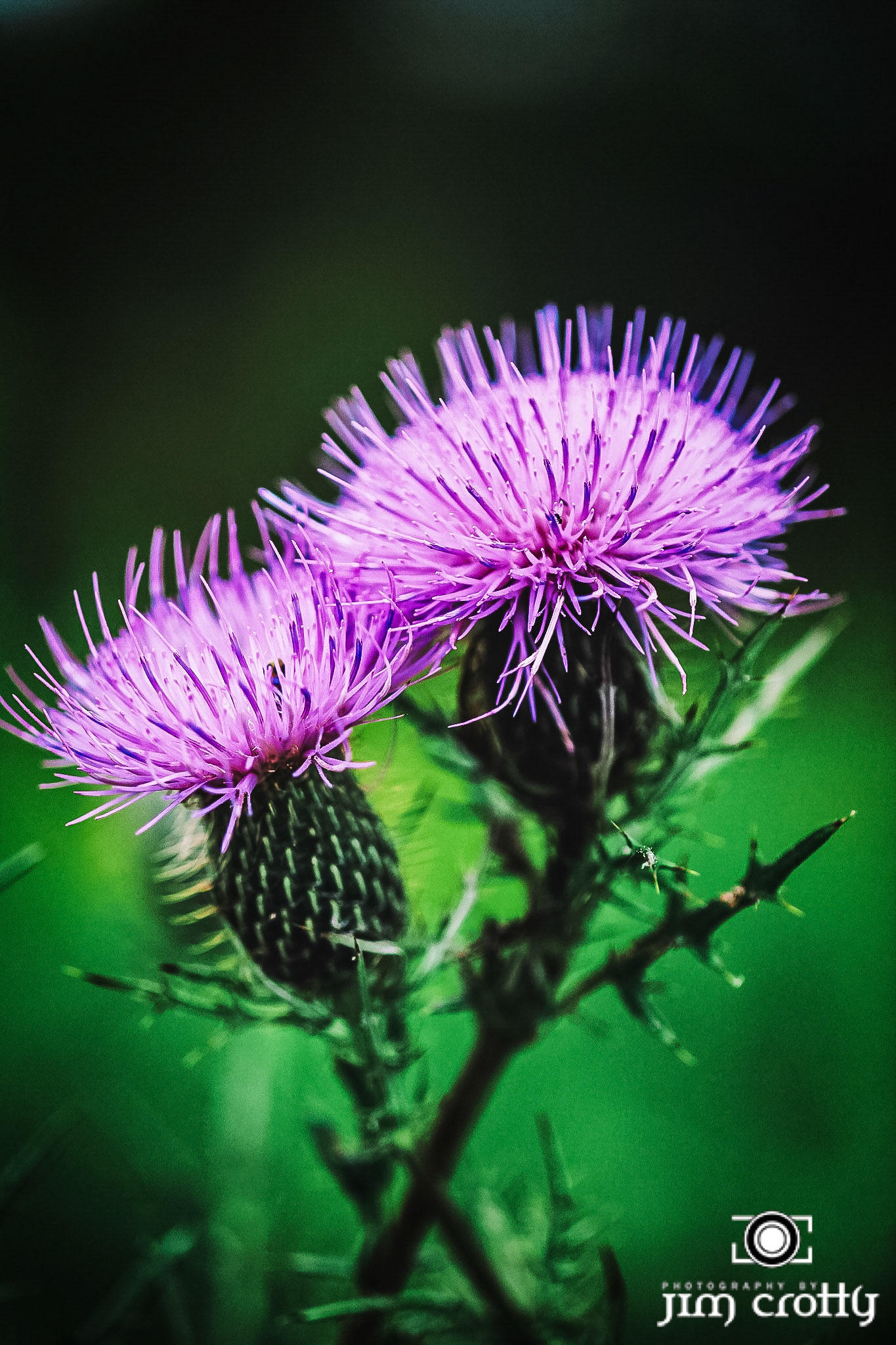 Late summer landscape and natural details at Sugarcreek MetroPark near Dayton Ohio on September 2, 2012 by Jim Crotty Processed with VSCO with k2 preset