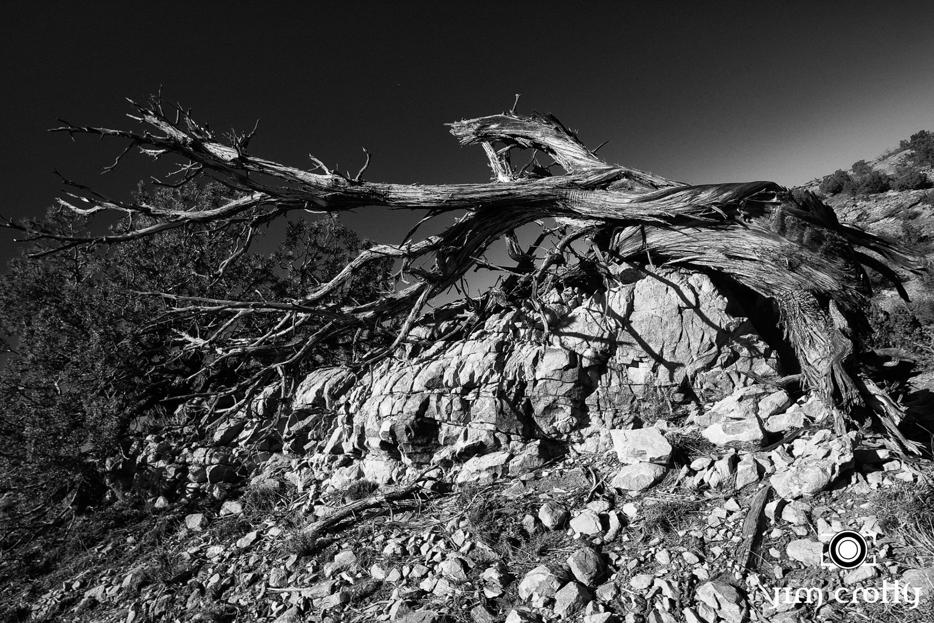 Fine art black and white nature and landscape photography by Frisco Texas Photographer Jim Crotty