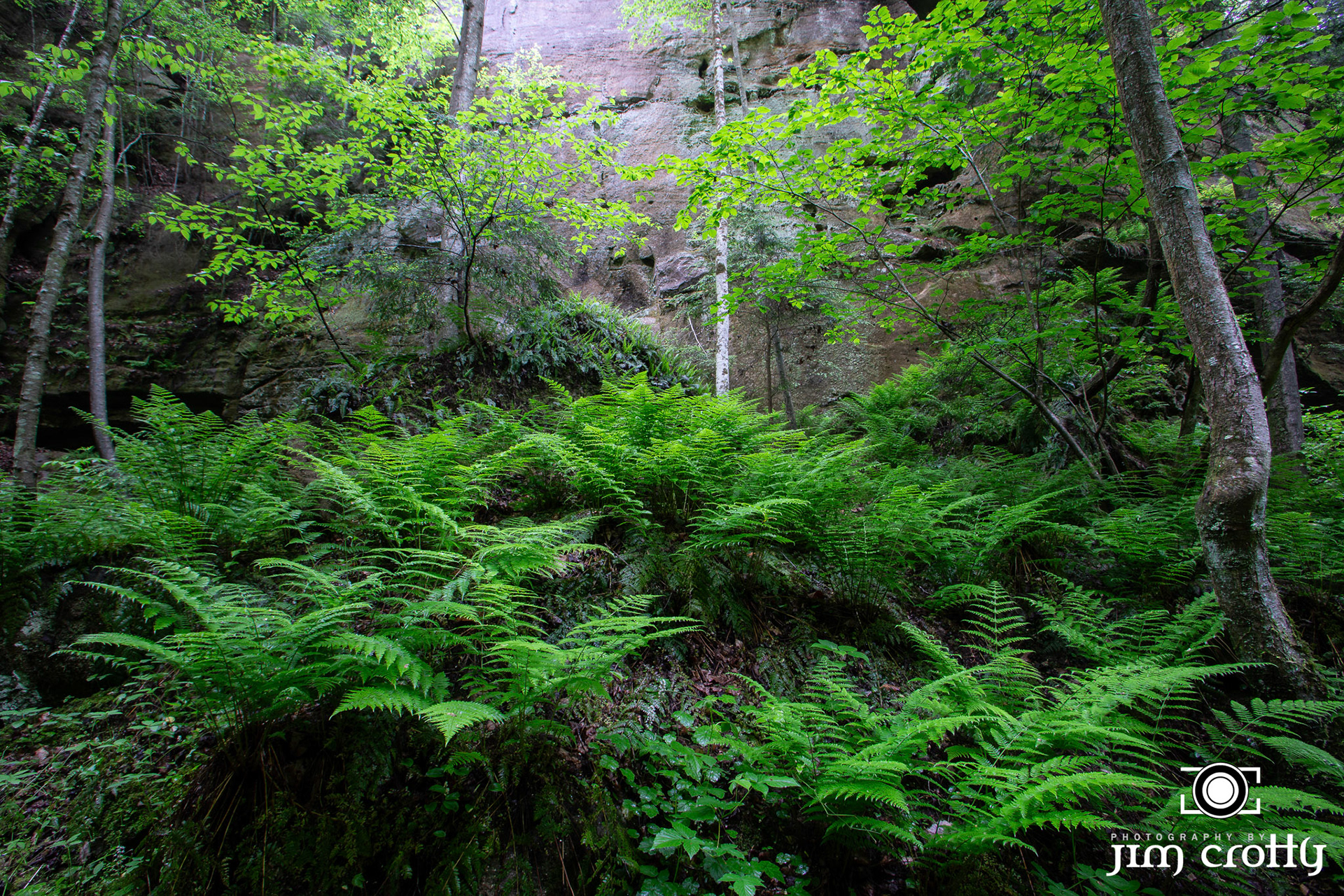 Nature, landscape, and Northern Light Images Captured in Hocking Hills, Ohio by Jim Crotty