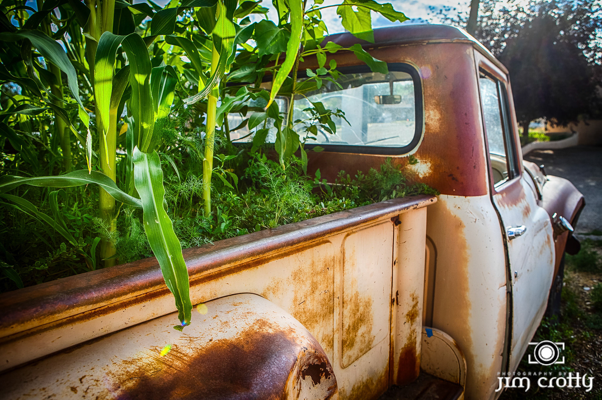 Old cars and landscape in Questa, New Mexico by Jim Crotty