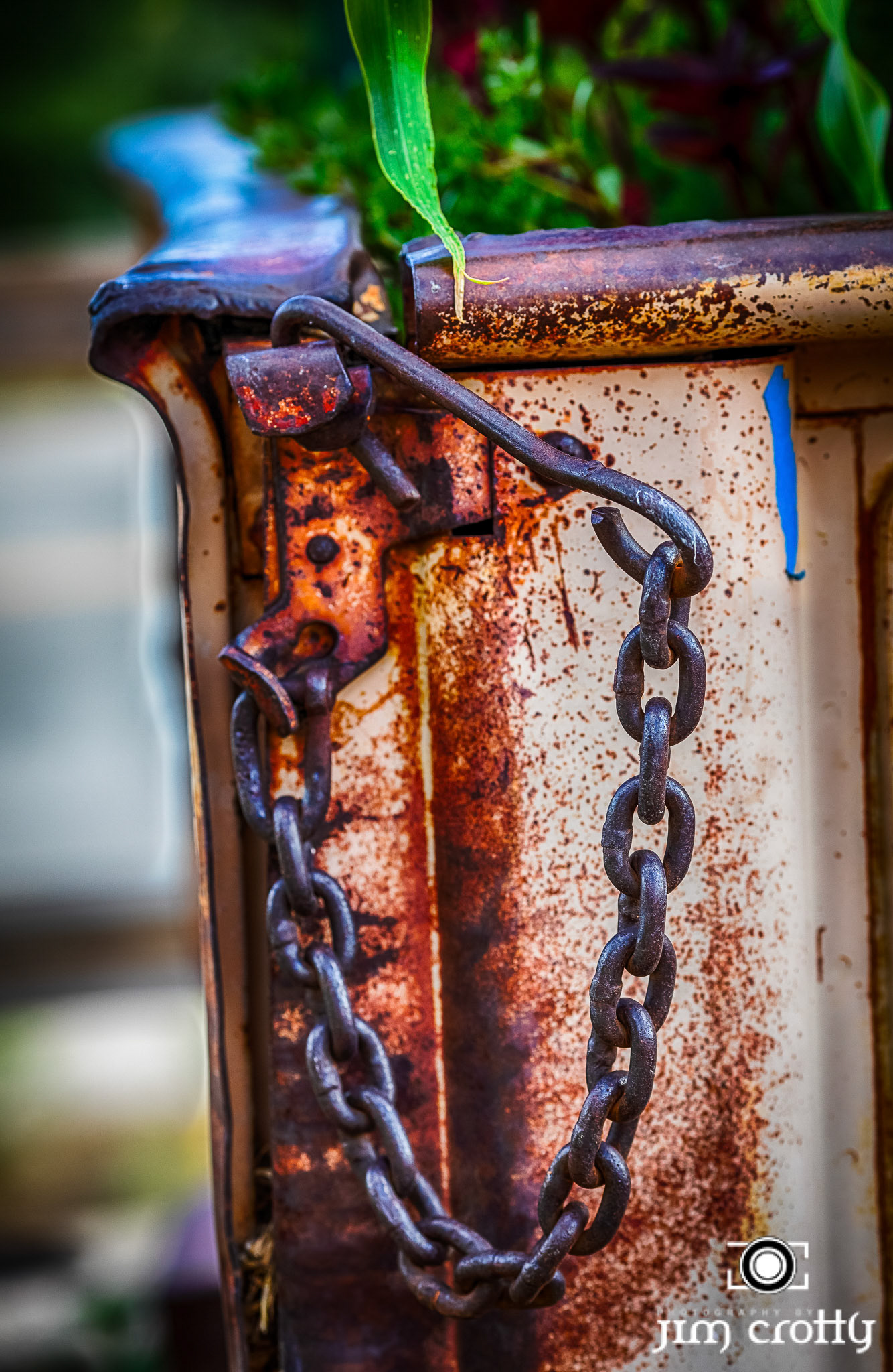 Old cars and landscape in Questa, New Mexico by Jim Crotty