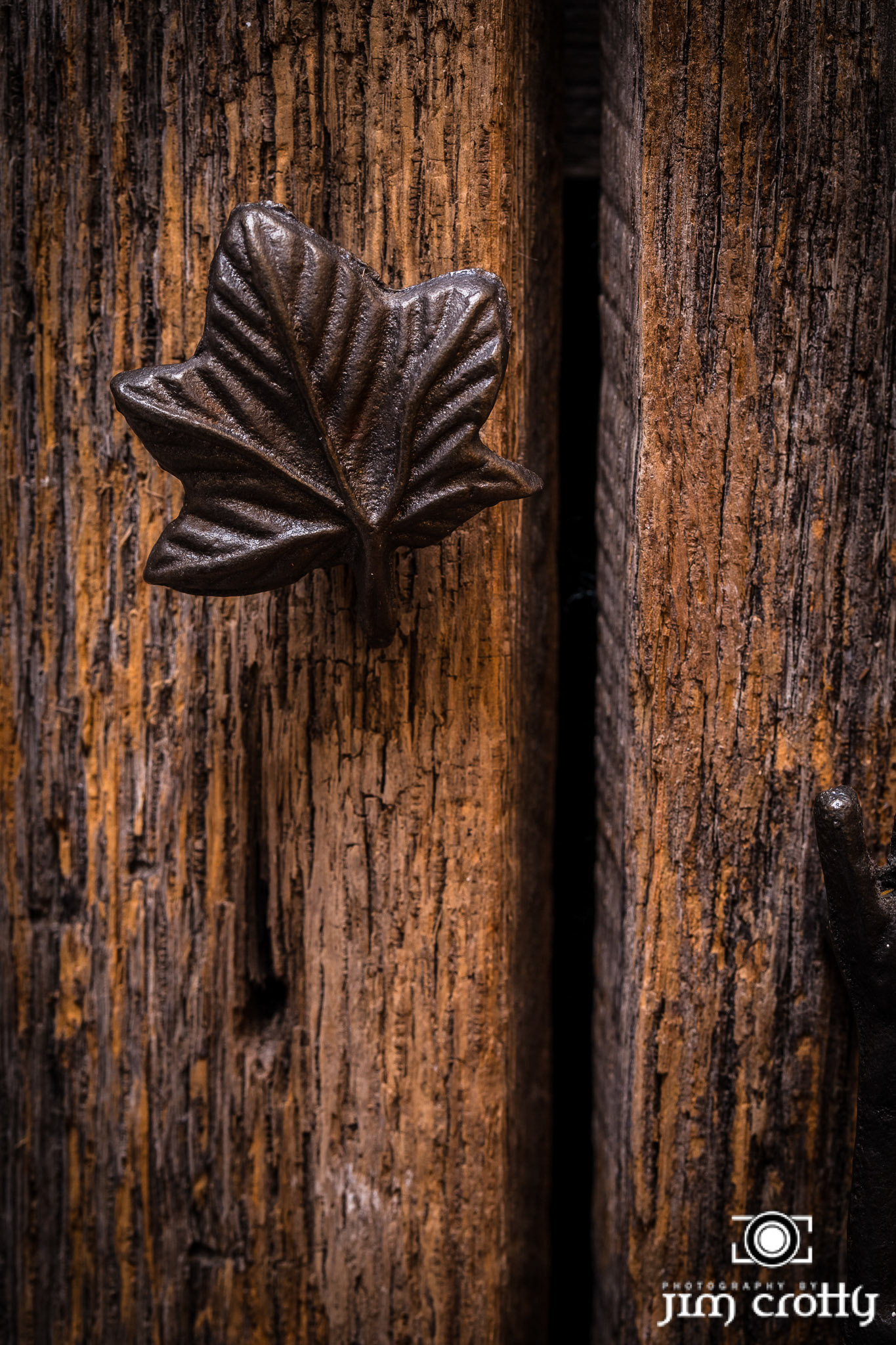 New Mexico Photography by Jim Crotty