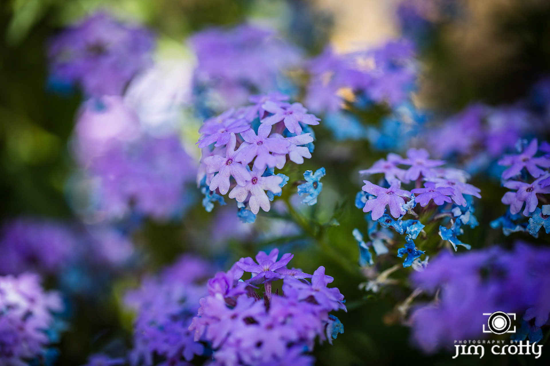 Nature and landscape photography by Santa Fe New Mexico Photographer Jim Crotty