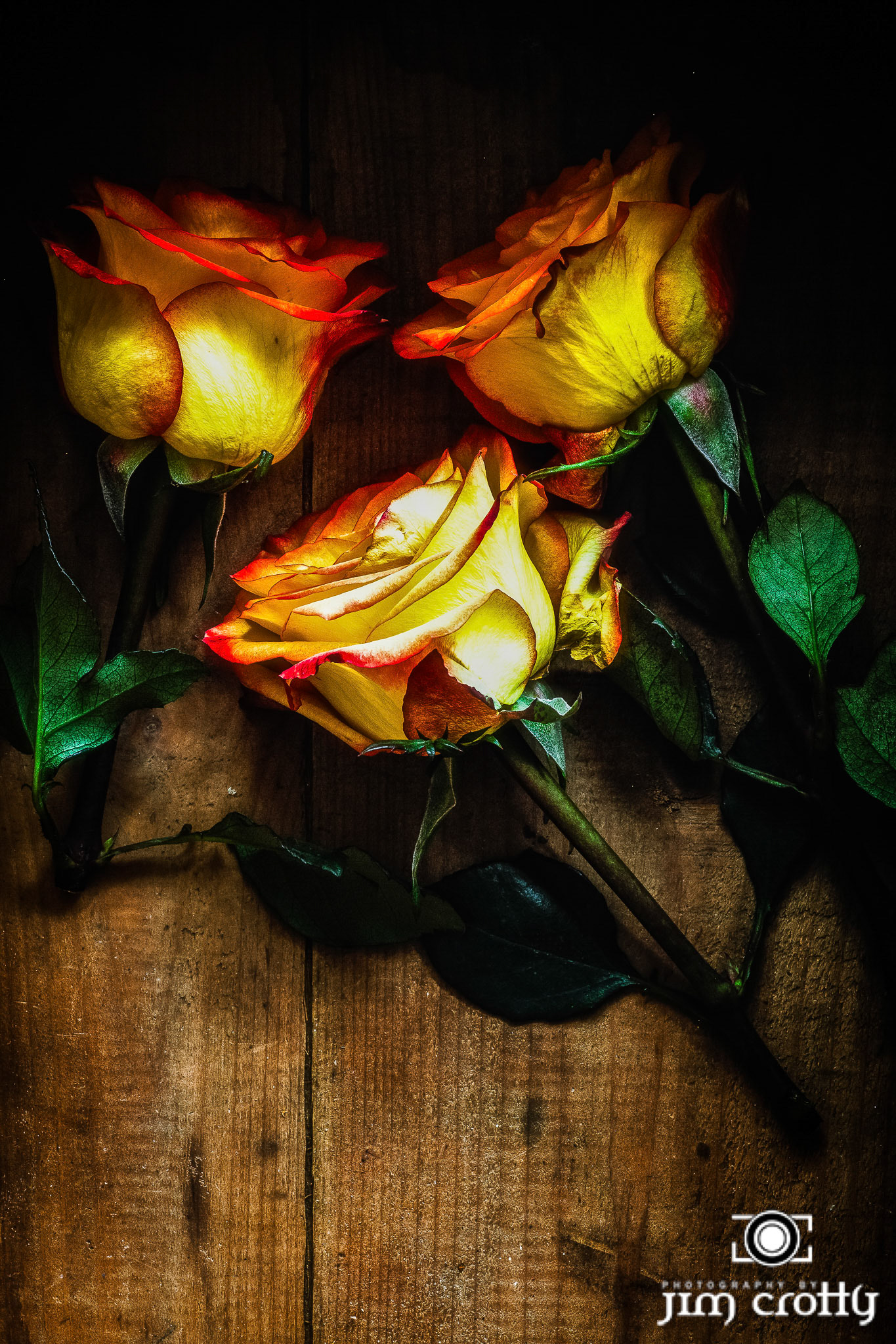Form pattern and texture in nature and still life photography by Jim Crotty