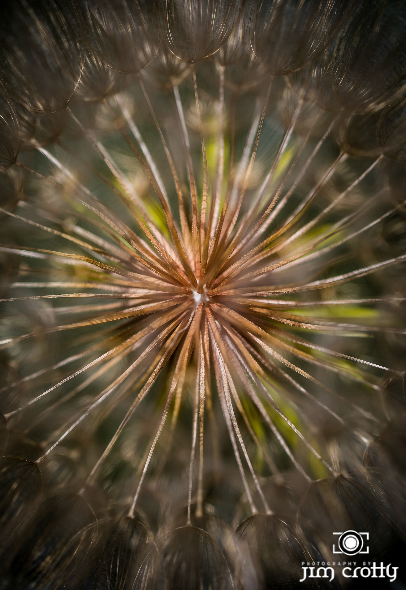 Nature and landscape photography by Santa Fe New Mexico Photographer Jim Crotty