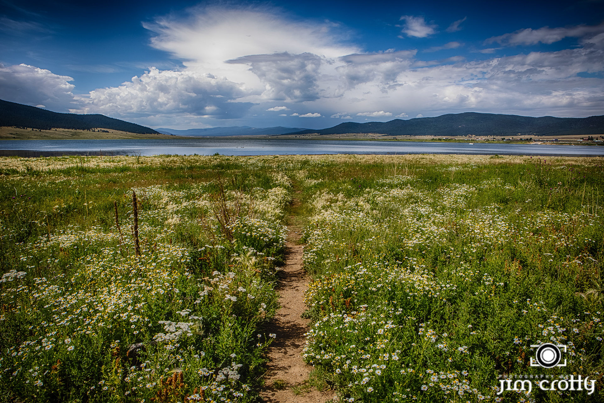 Meadow grass, flowers, and sky at Eagle Nest Lake, New Mexico by Jim Crotty
