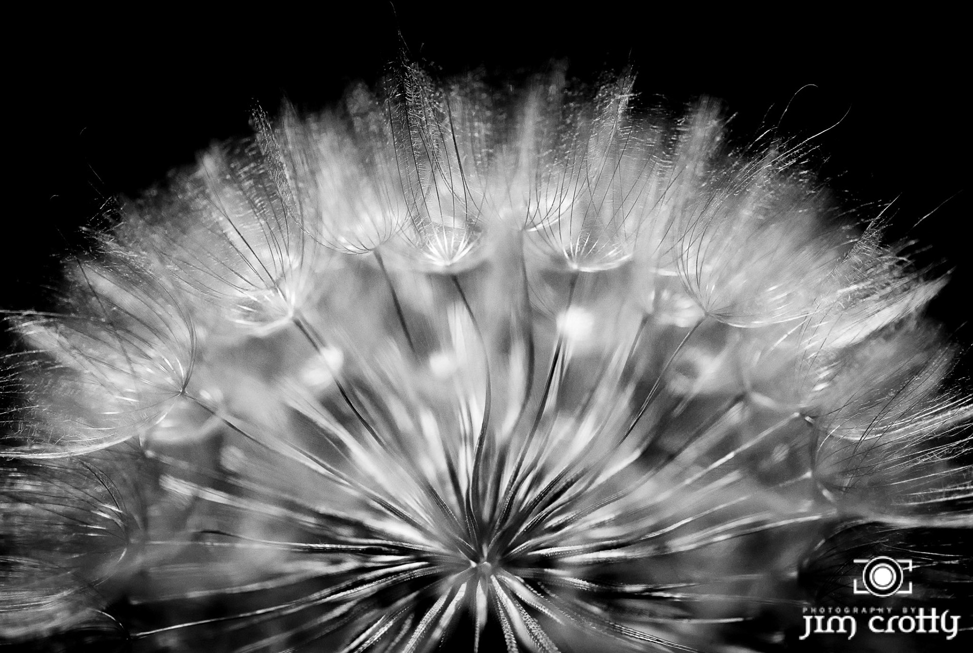 Nature and landscape photography by Santa Fe New Mexico Photographer Jim Crotty