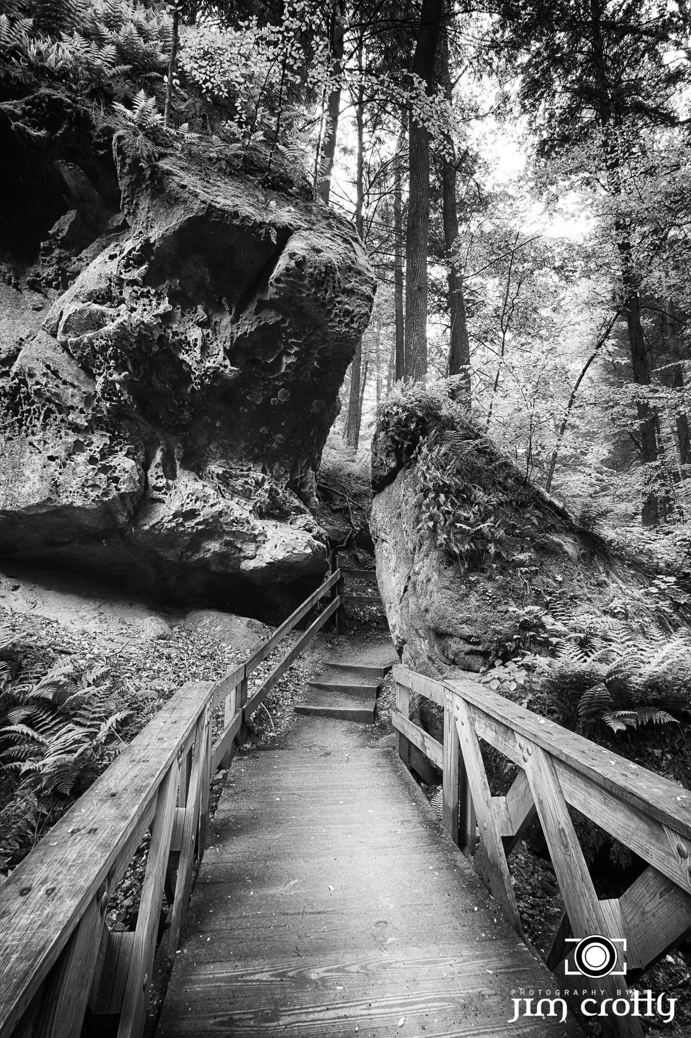 Nature, landscape, and Northern Light Images Captured in Hocking Hills, Ohio by Jim Crotty