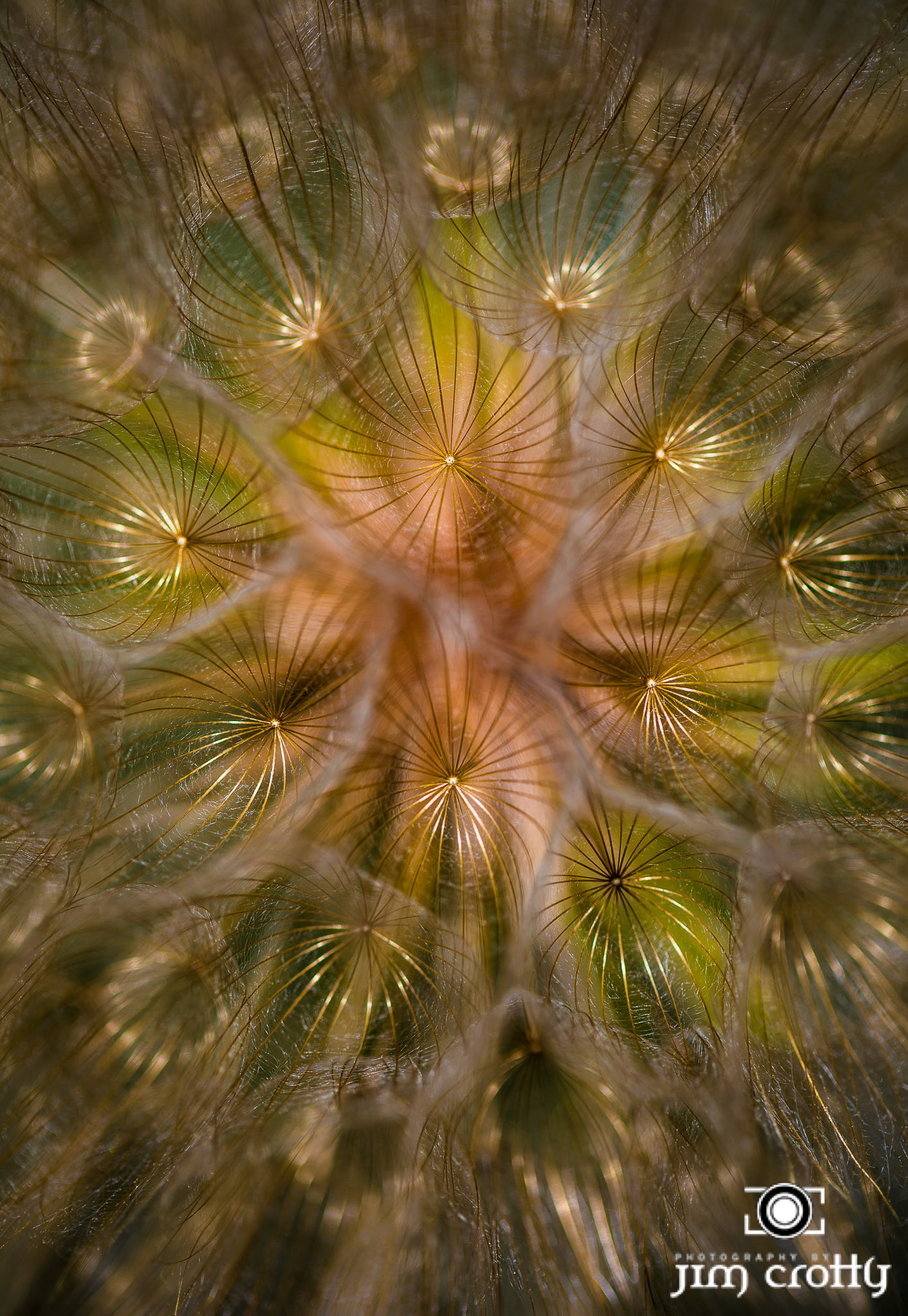 Nature and landscape photography by Santa Fe New Mexico Photographer Jim Crotty