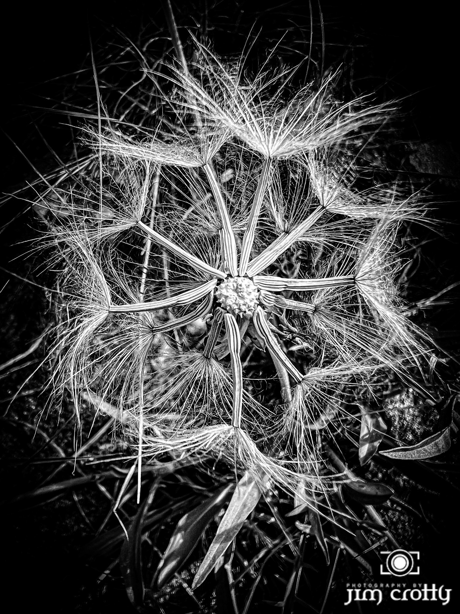 Nature and landscape photography by Santa Fe New Mexico Photographer Jim Crotty