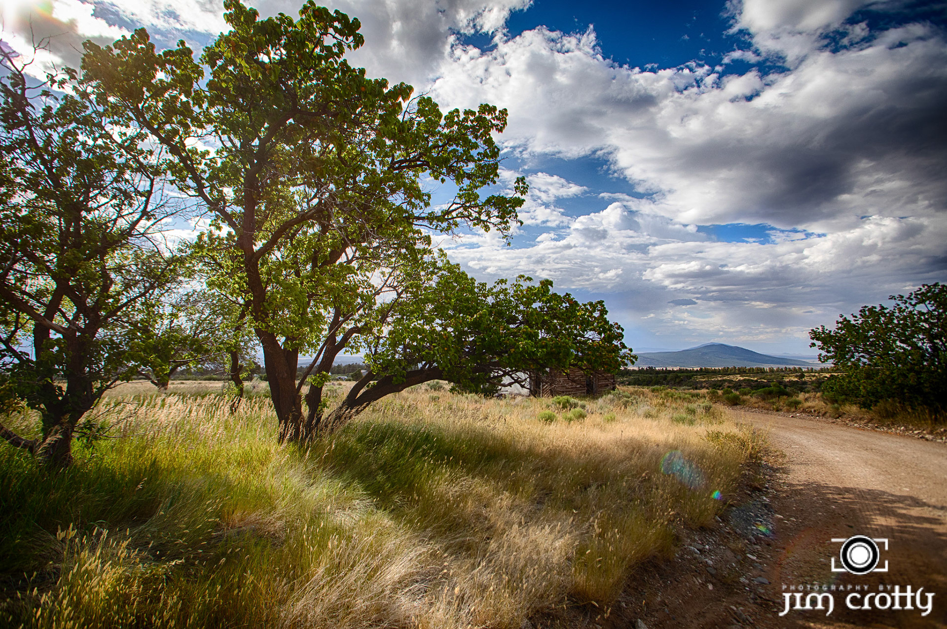 Landscape and rural scenes on road outside of Taos, New Mexico
