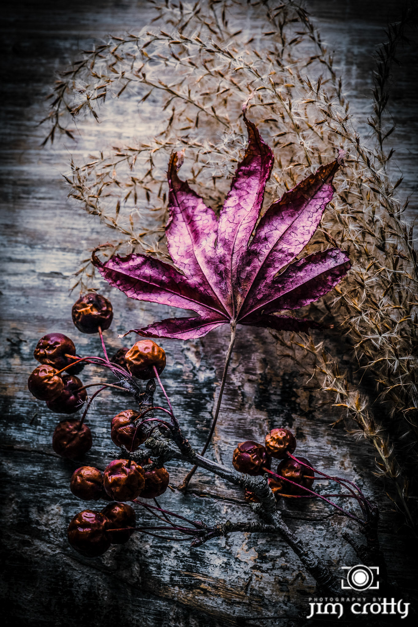 Still life photography of fall nature subjects in window light during winter