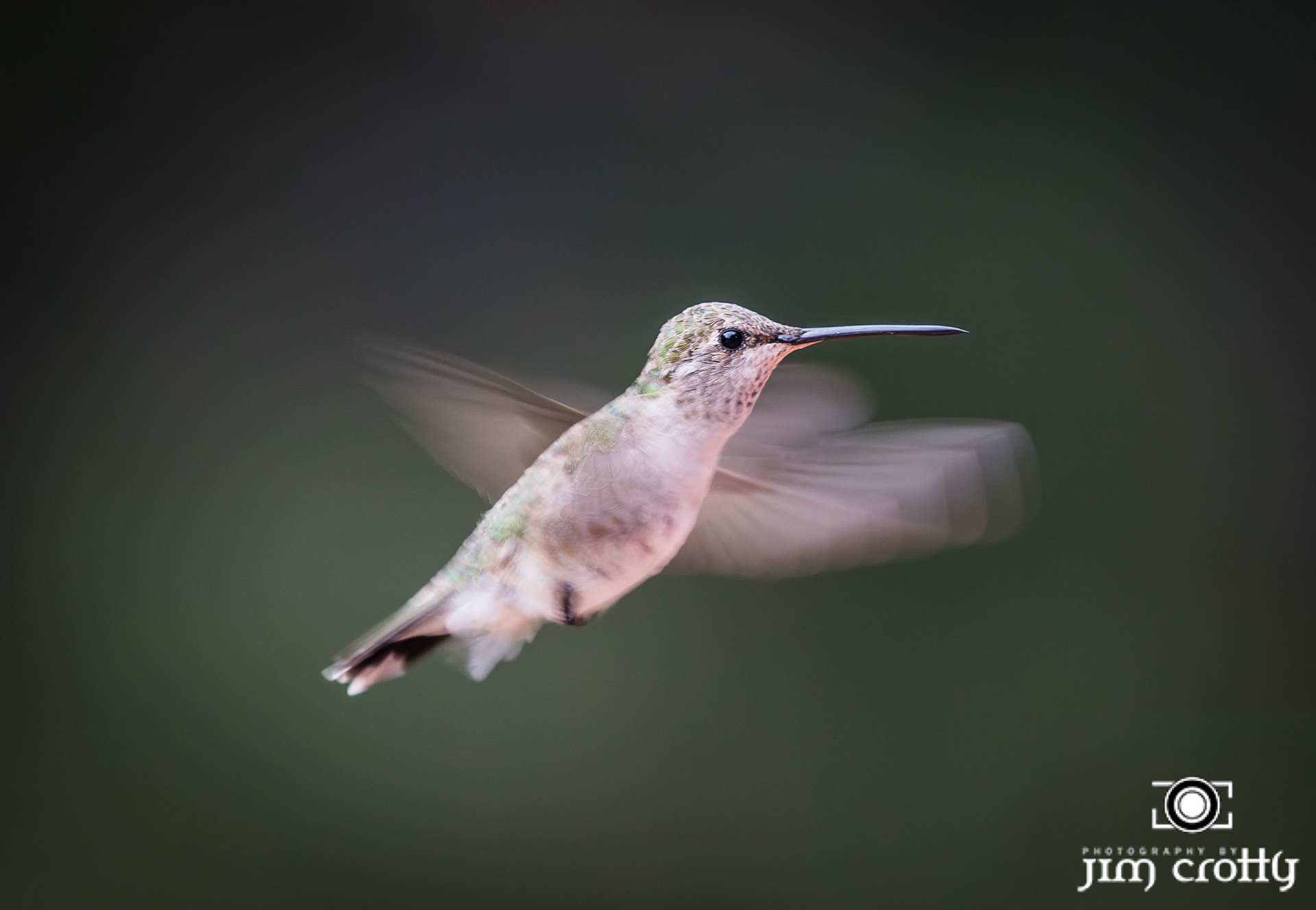 Nature and landscape photography by Santa Fe New Mexico Photographer Jim Crotty