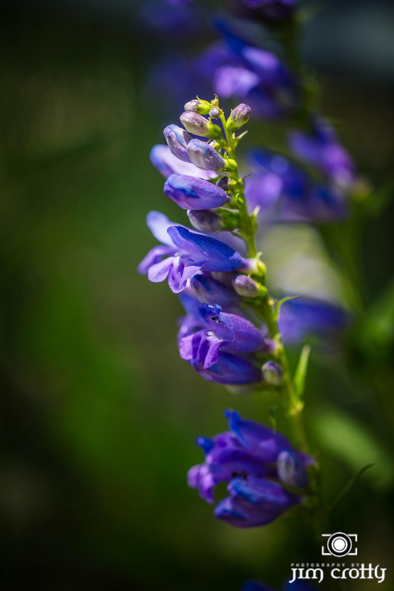 Nature and landscape photography by Santa Fe New Mexico Photographer Jim Crotty