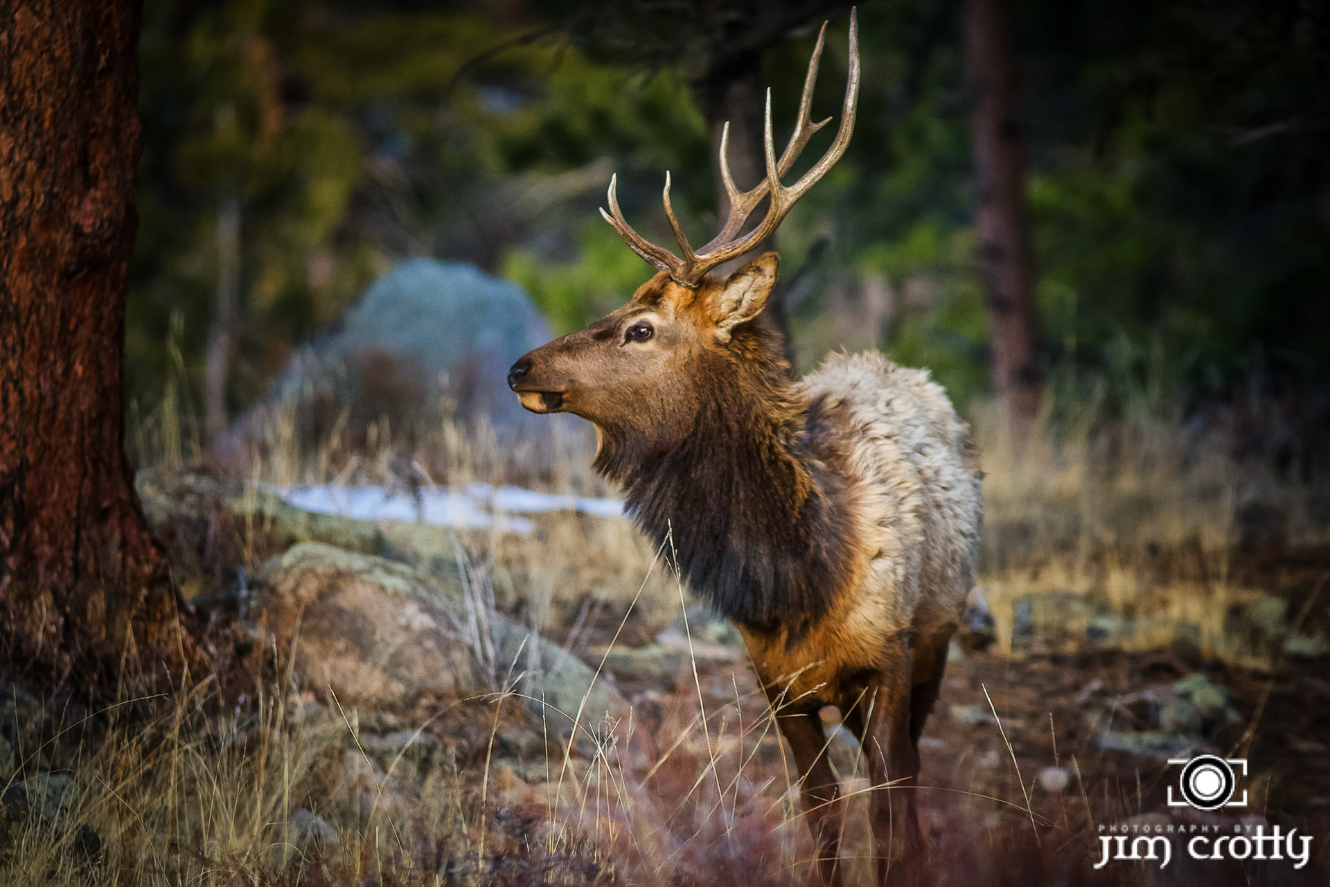 March in Rocky Mountain National Park Colorado by Jim Crotty