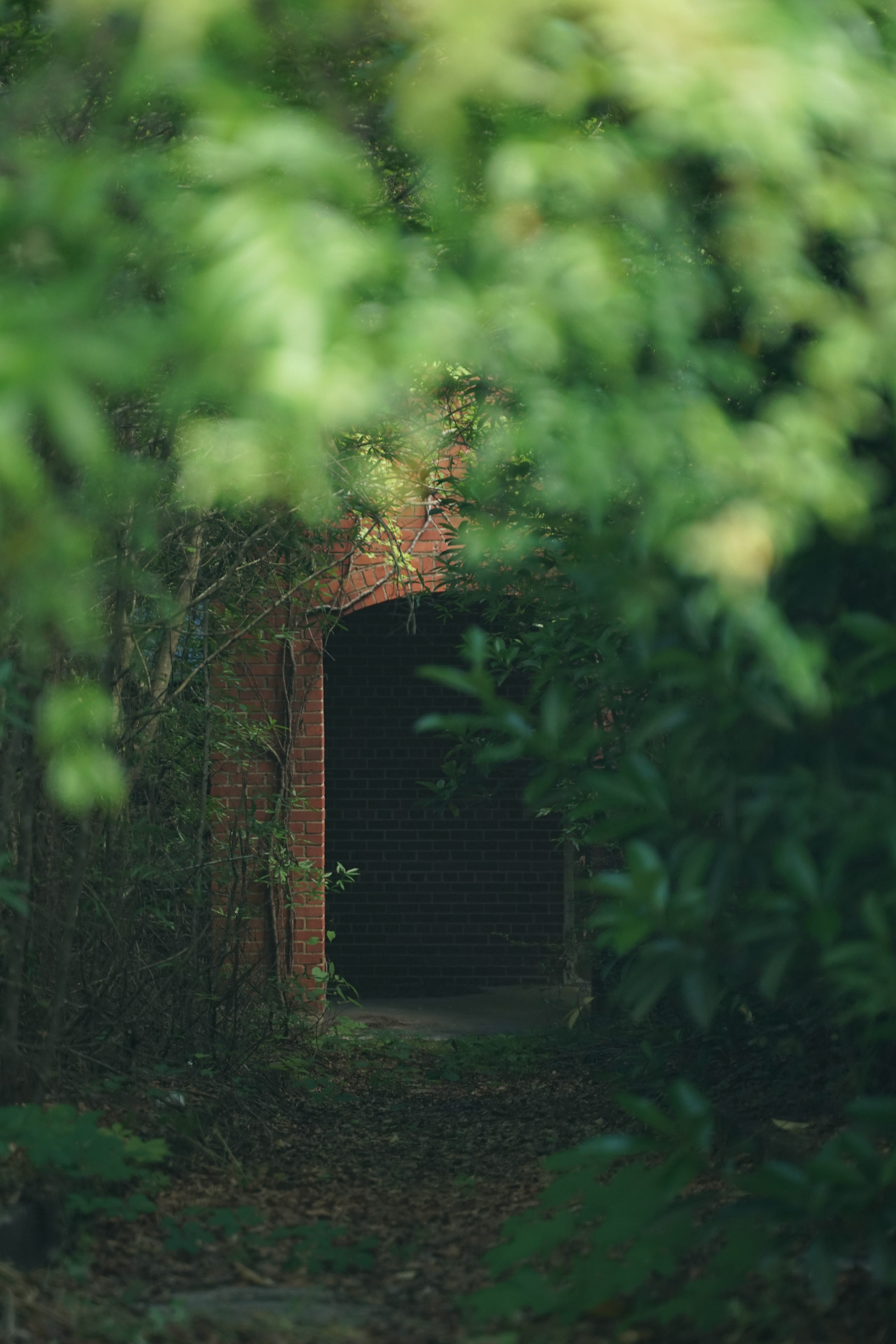 Portal