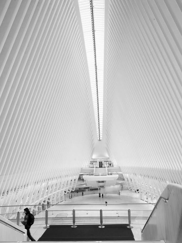 Interior of Oculus NYC with natural light entering through structure at specific time of day