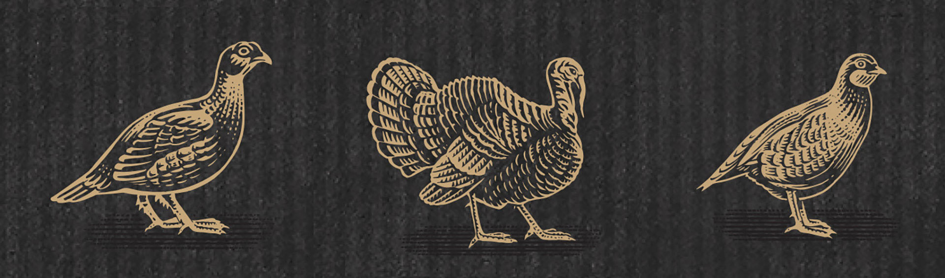 Three birds: Grouse, Turkey and Guinea Fowl drawn by Illustrator Fred van Deelen at Arty2 Ltd for M&S packaging.