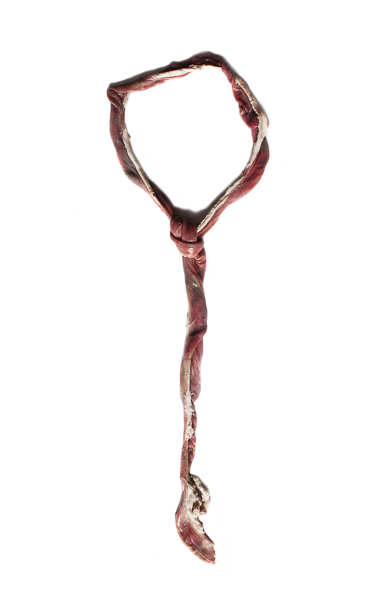 ''The Colombian tie'' is a famous practice of horror in which the person is slaughtered and the tongue is thrown along the torso as if it were a tie. This kind of practices are used to be done to create panic and horror in the community as a tactic of war.