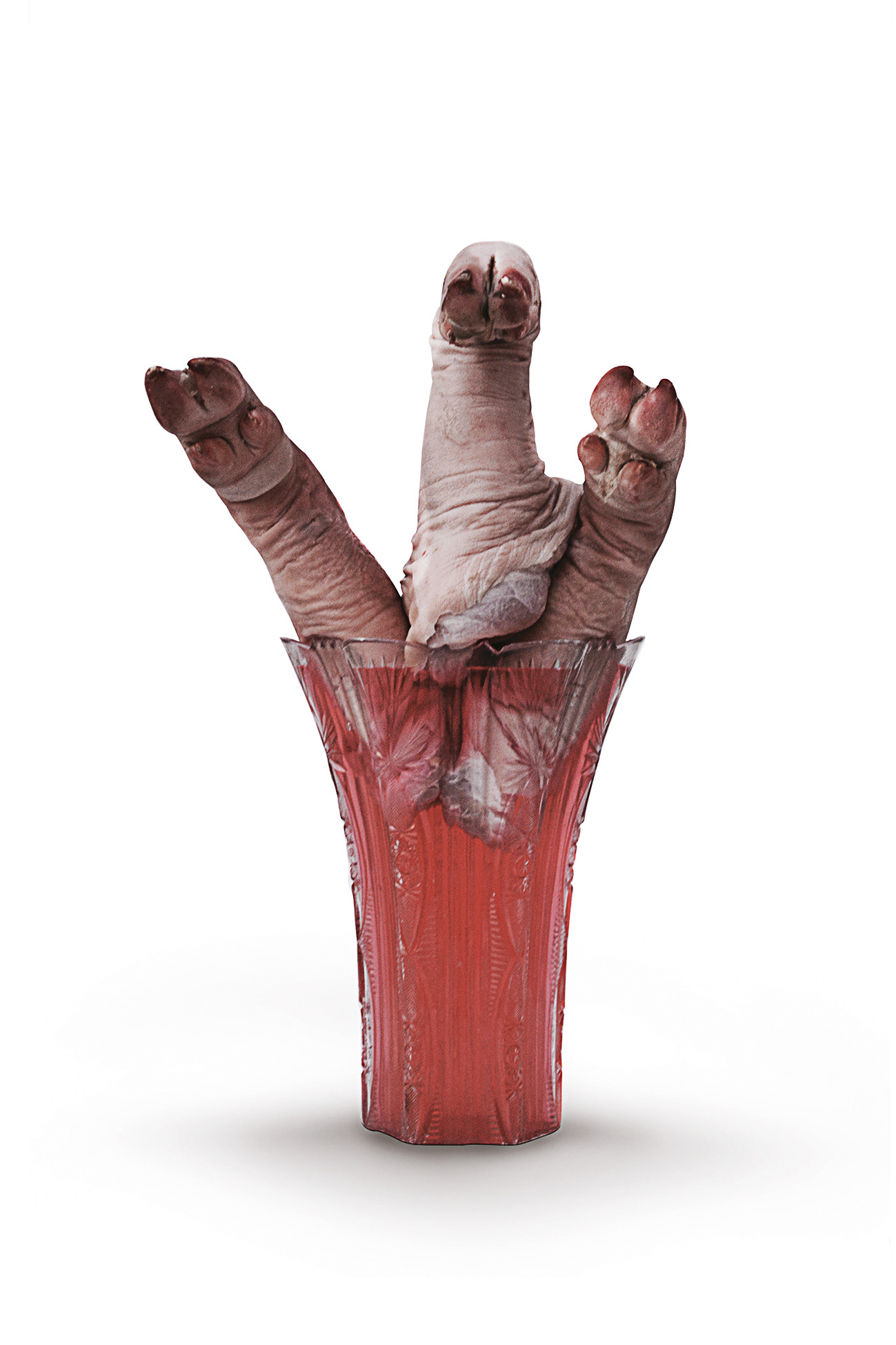 Photography allusive to a famous ritual of torture in the period known as '' The Violence'' in Colombia in the latest 40s named ''Flower pot'' which it consists in maim legs and arms out of the body, make a hole in the stomach area, and then put arms and legs inside of it.